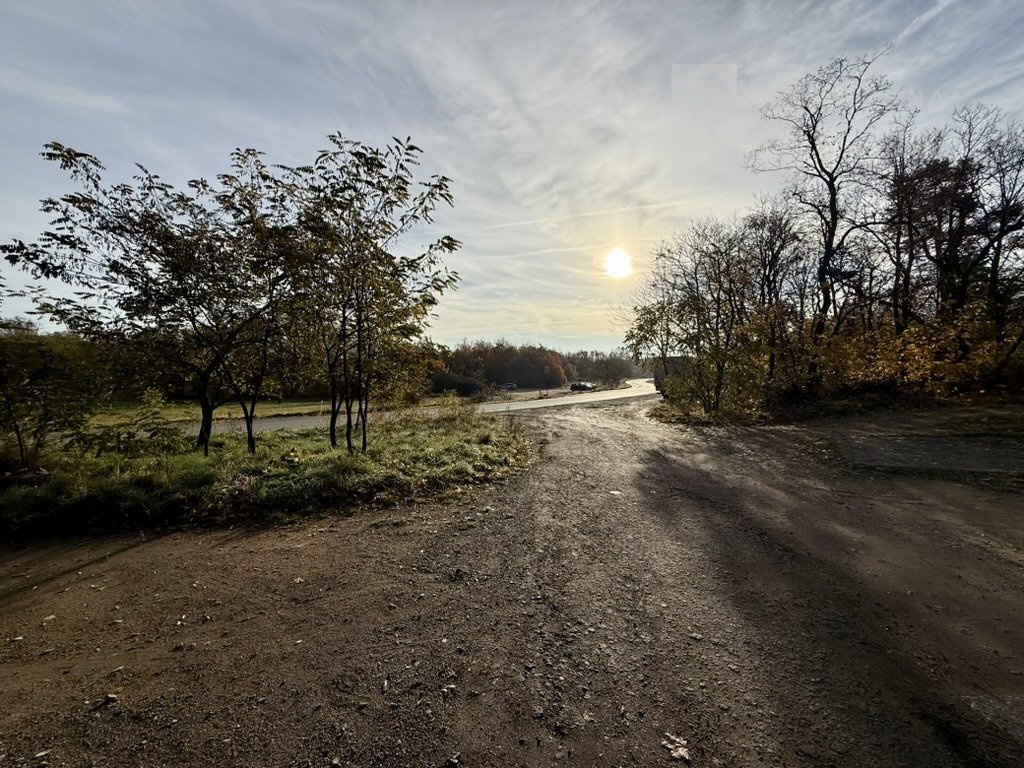 9F0C8D95-E25C-4079-BDD8-B993CBB9BCAE_1_105_c