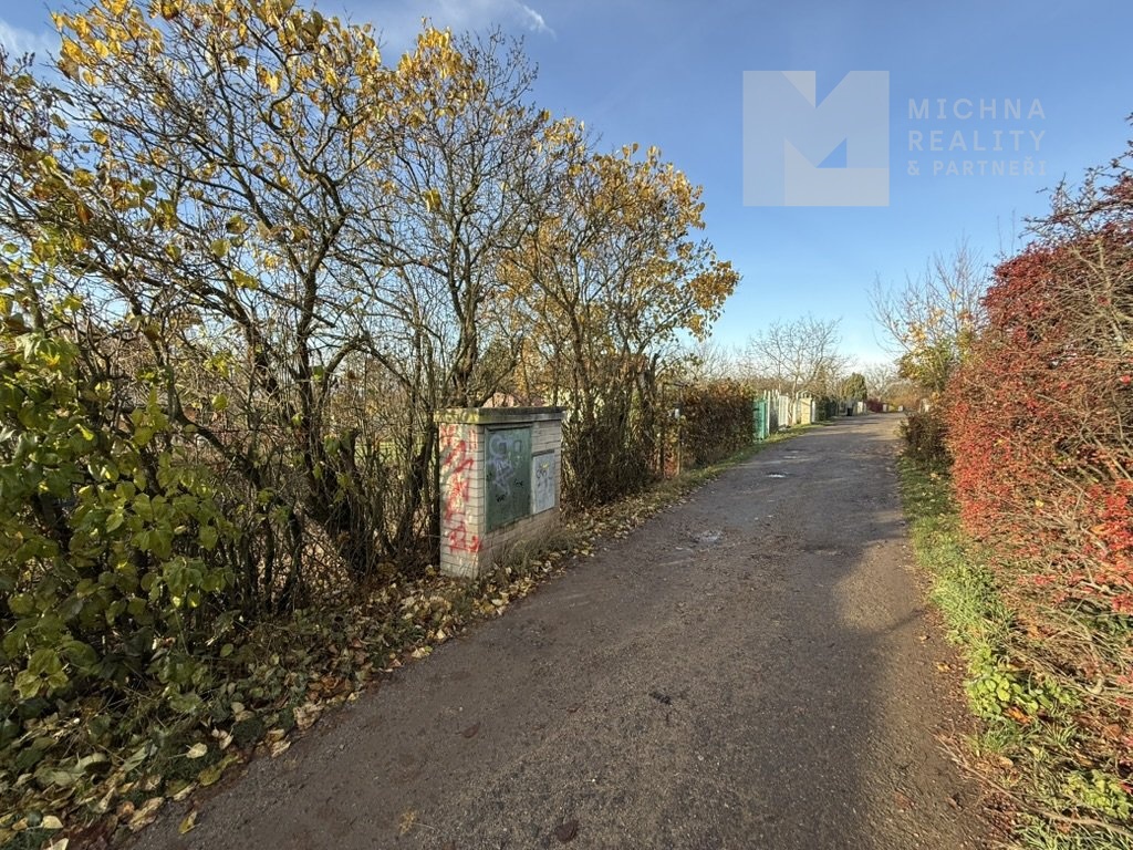 84FCD31C-D680-43D5-8749-B726EA01CE4A_1_105_c