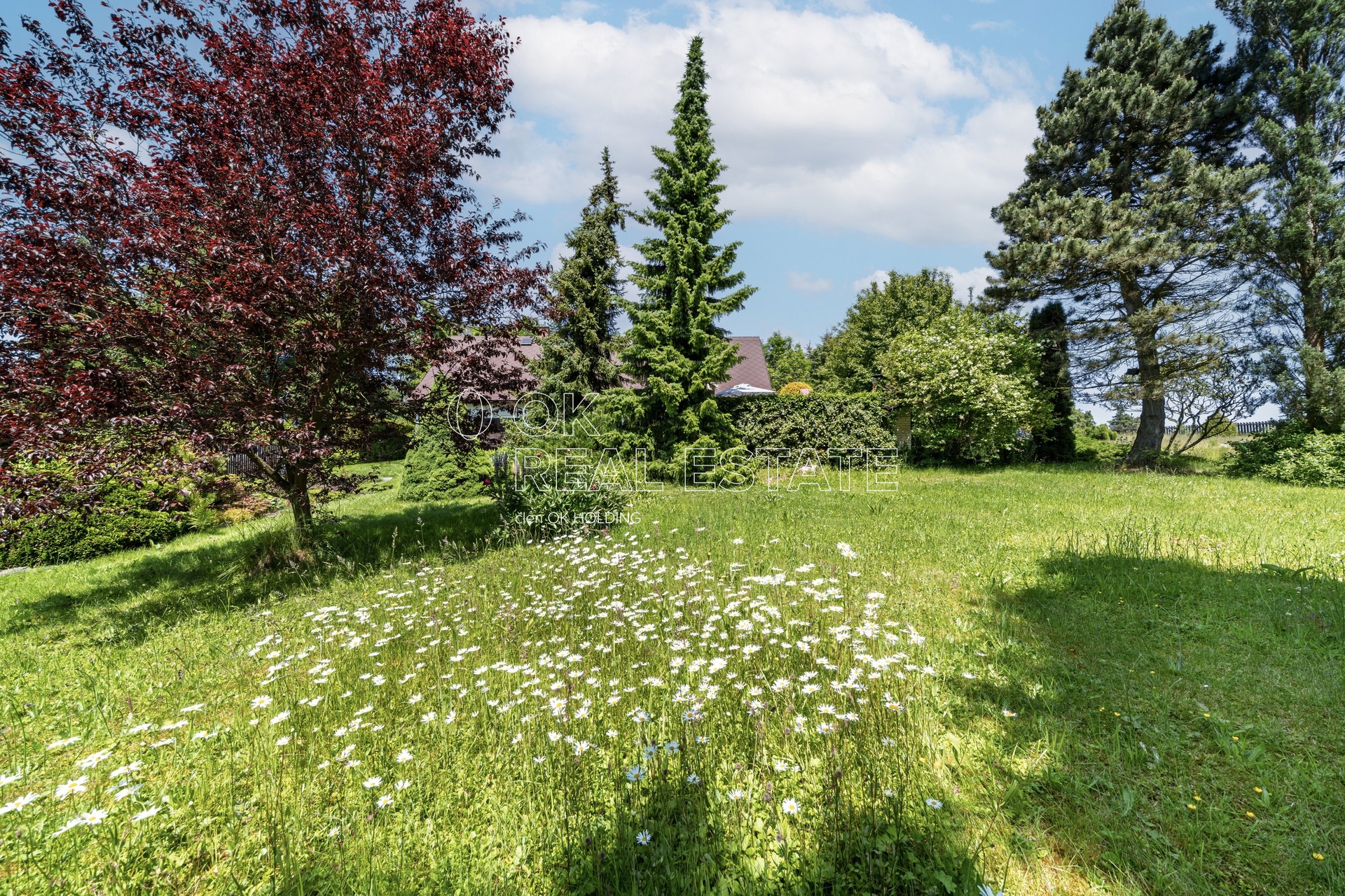 20250613-_DSC9680-HDR