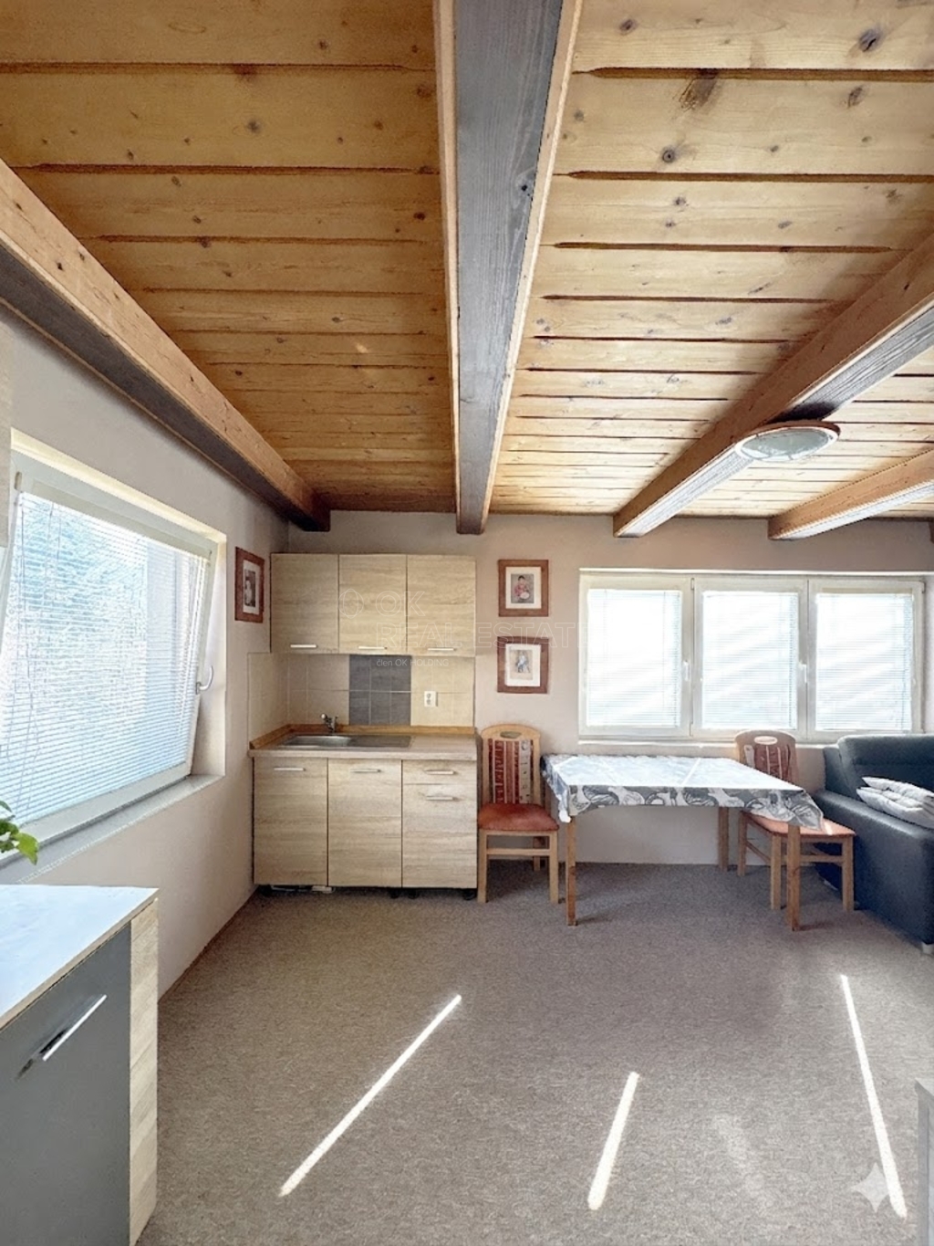 kuchyňka v obývacím pokoji