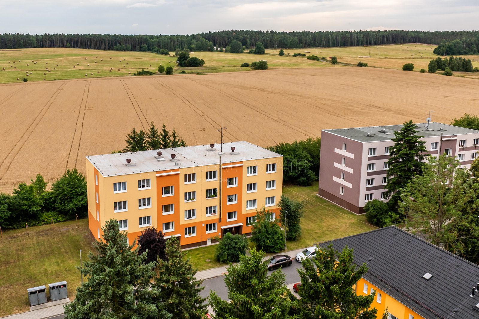 Dům