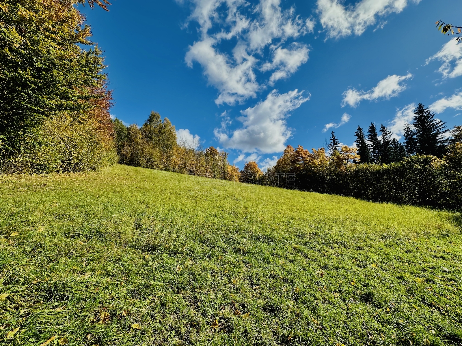 Prodej zemědělské usedlosti Vápenná, foto 18