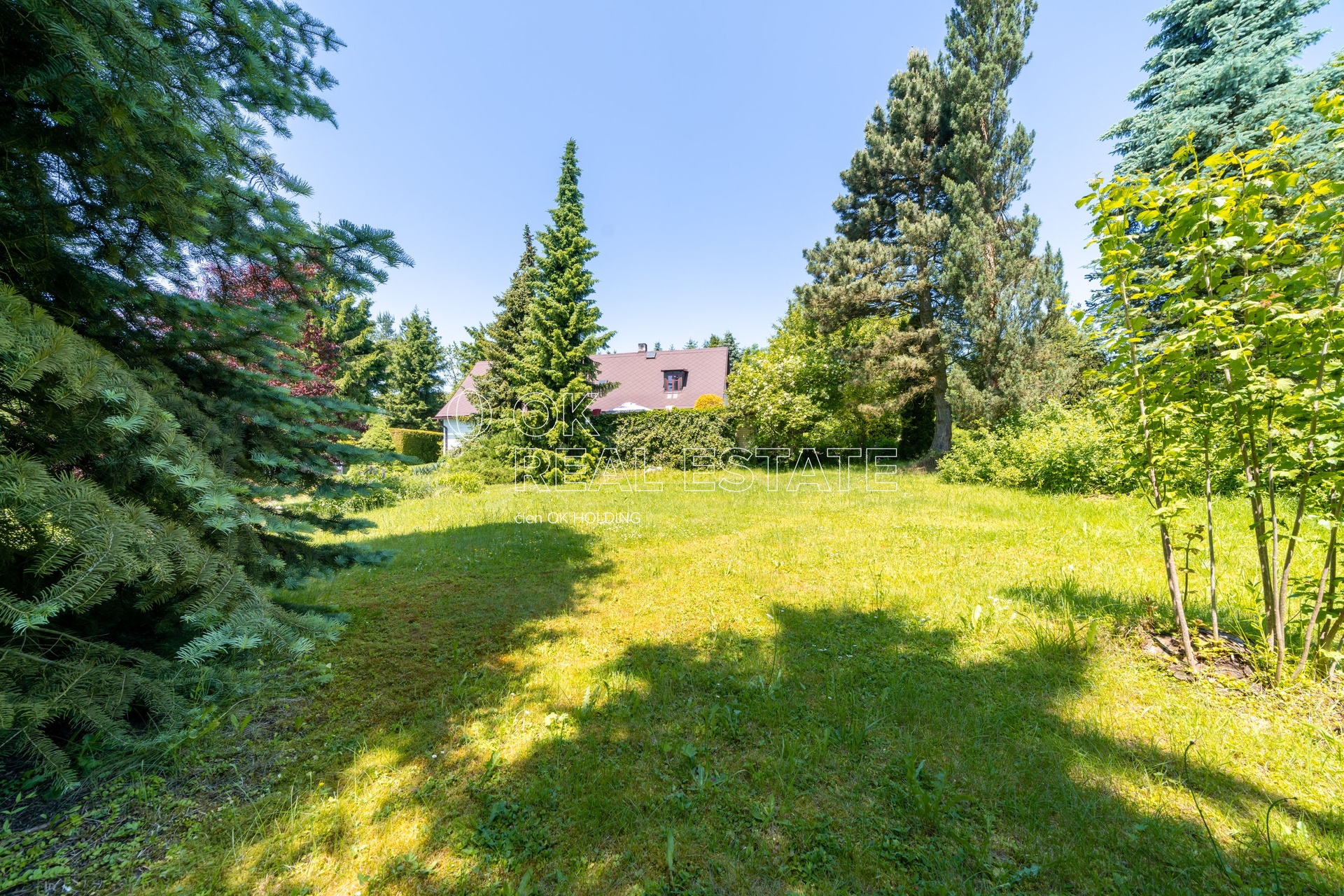 20250613-_DSC9674-HDR