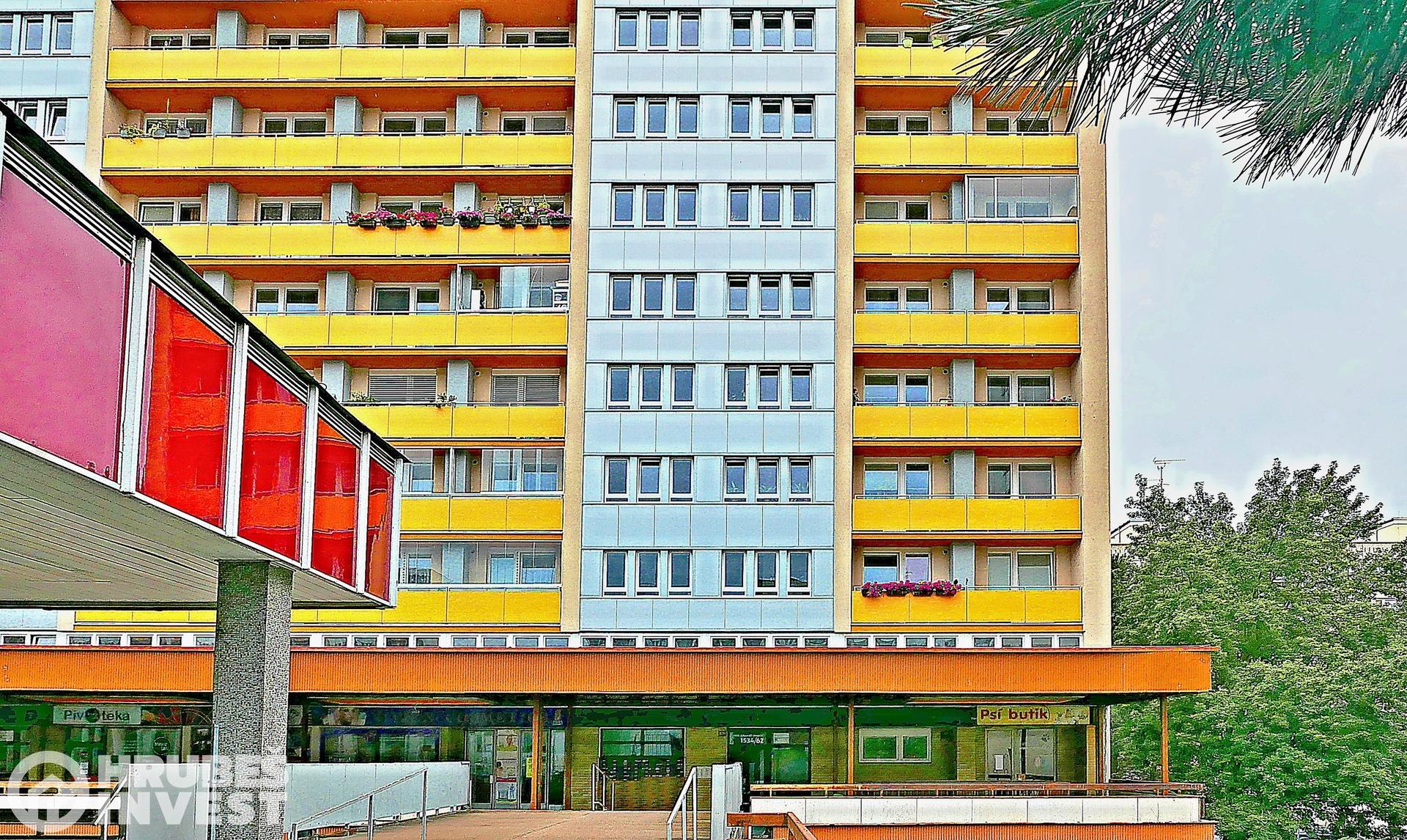 P1020163