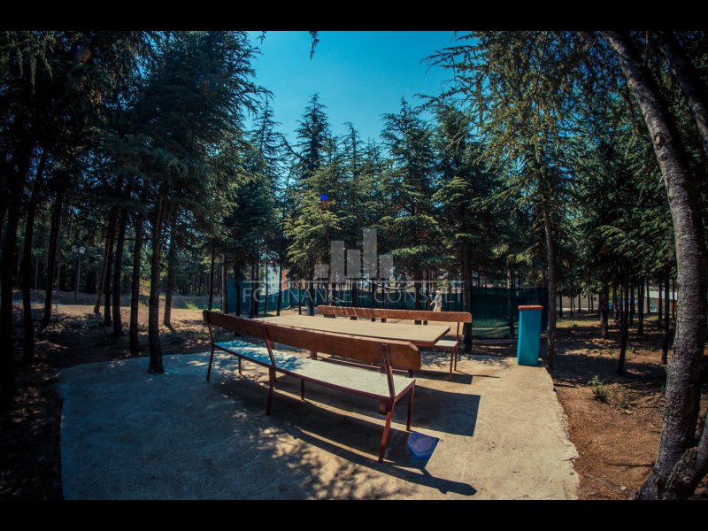 Obrázek k zakázce č.: 85024