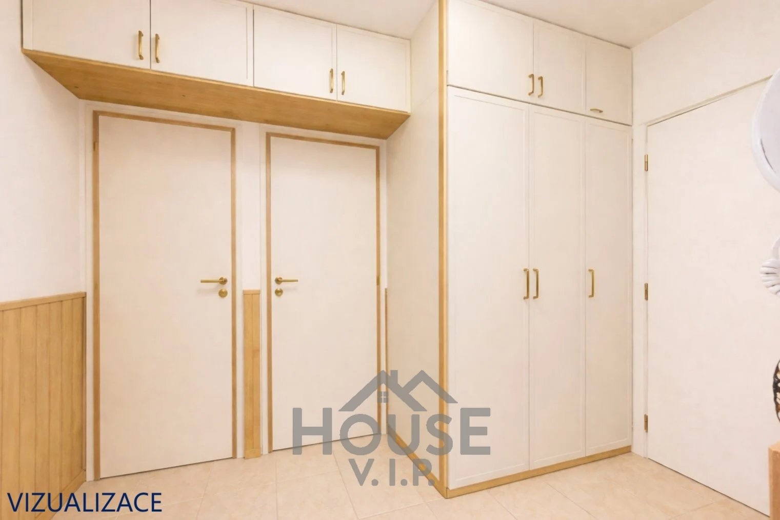 vizualizace - predsin