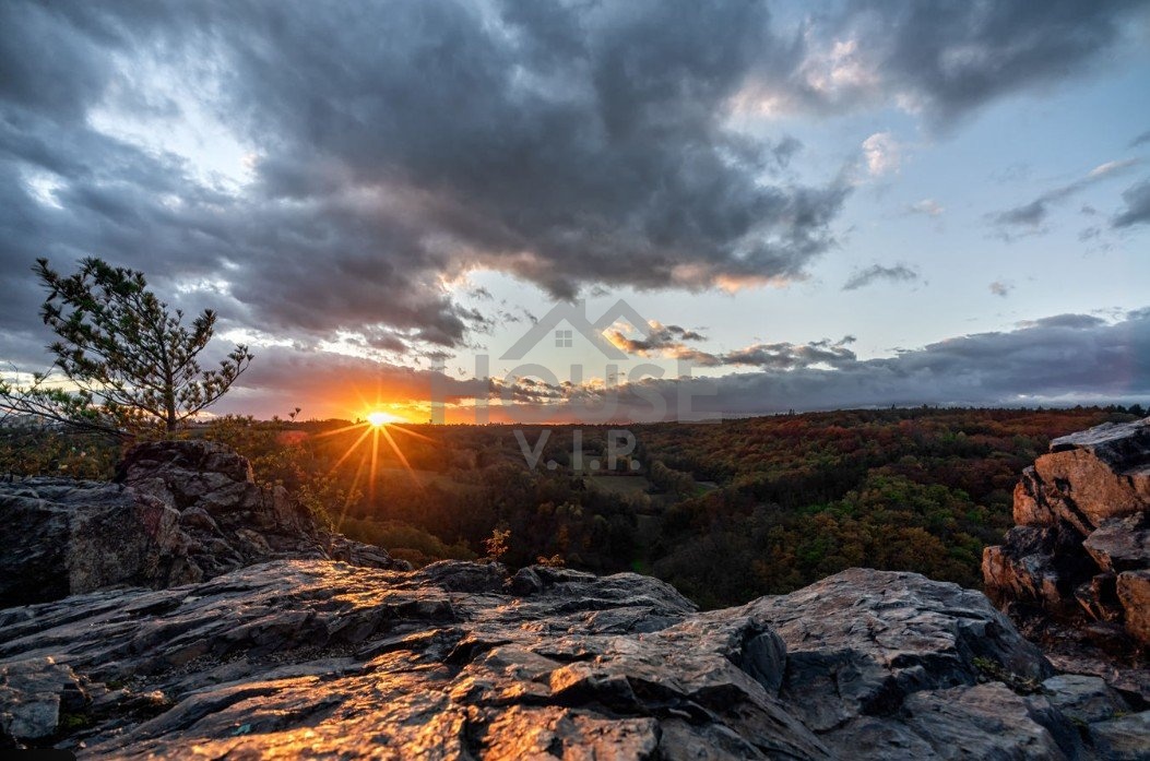 Snímek obrazovky 2025-12-04 144123