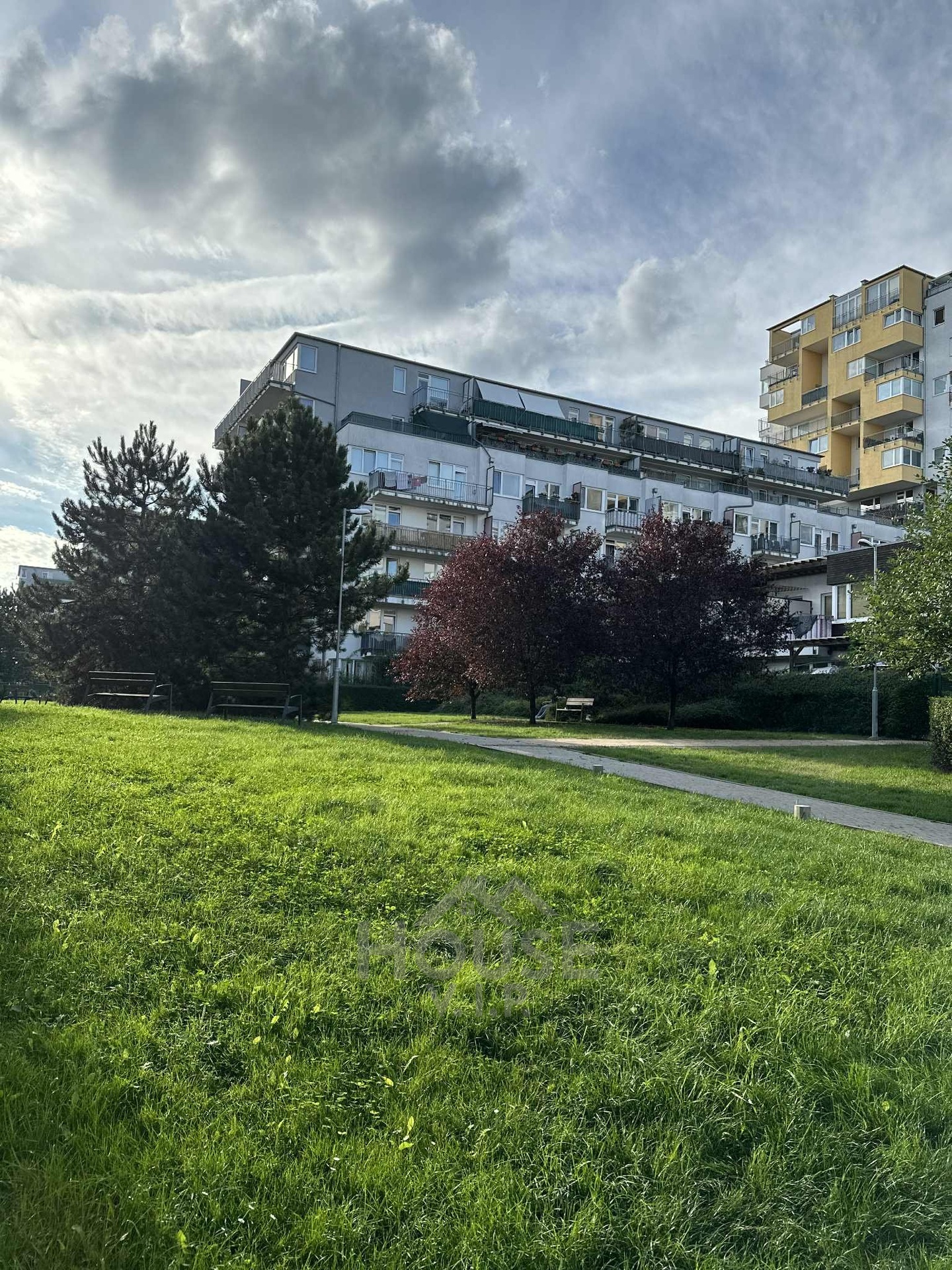 8cf6d6a8-2f89-4d21-98ae-496003ab9f2c