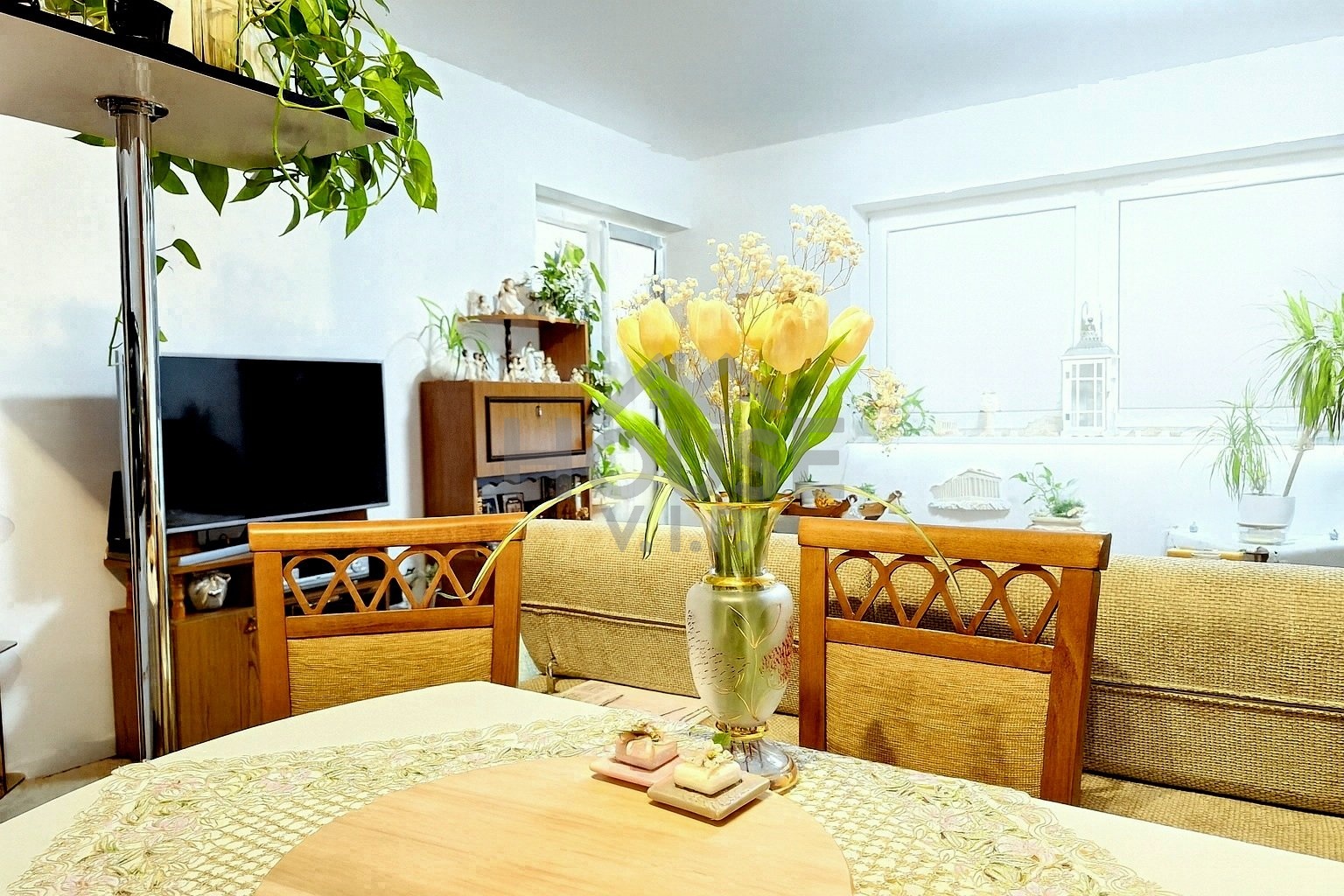 6ec6d8fc-f72a-4b5d-ac84-4cf5cf3d2656