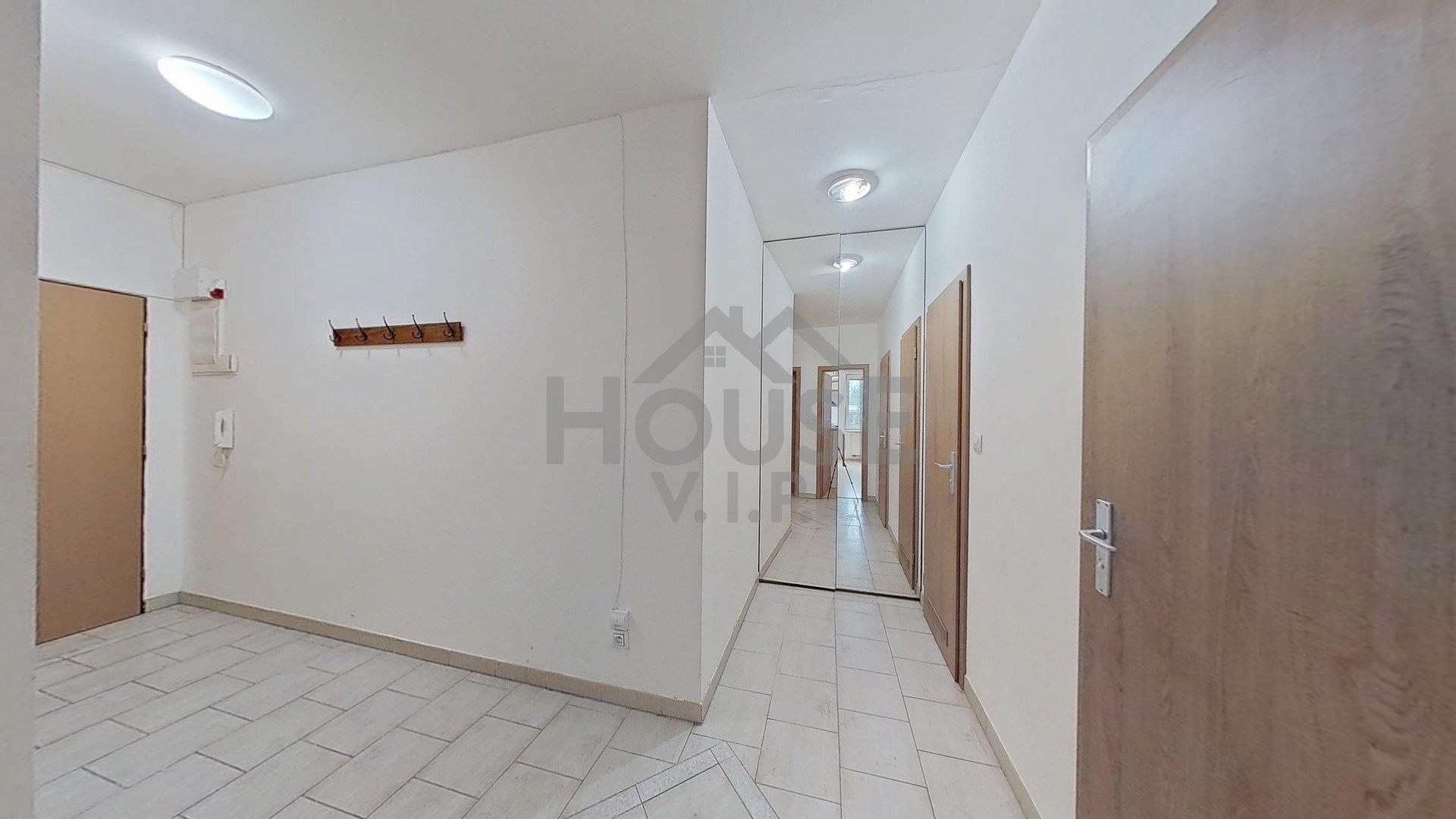 Brandyska-314-10142025_200734