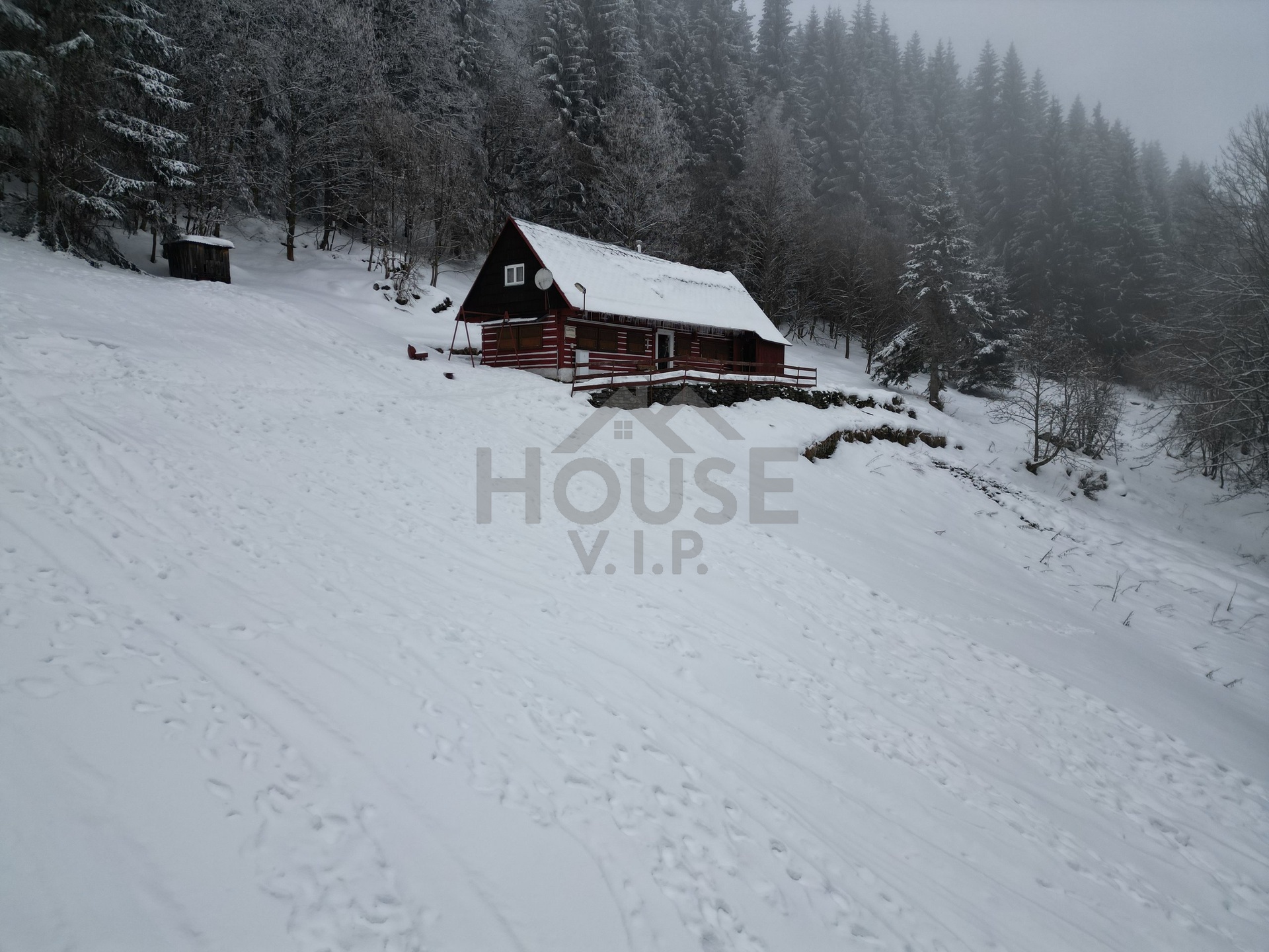 dji_fly_20260204_143236_582_1770296682750_photo