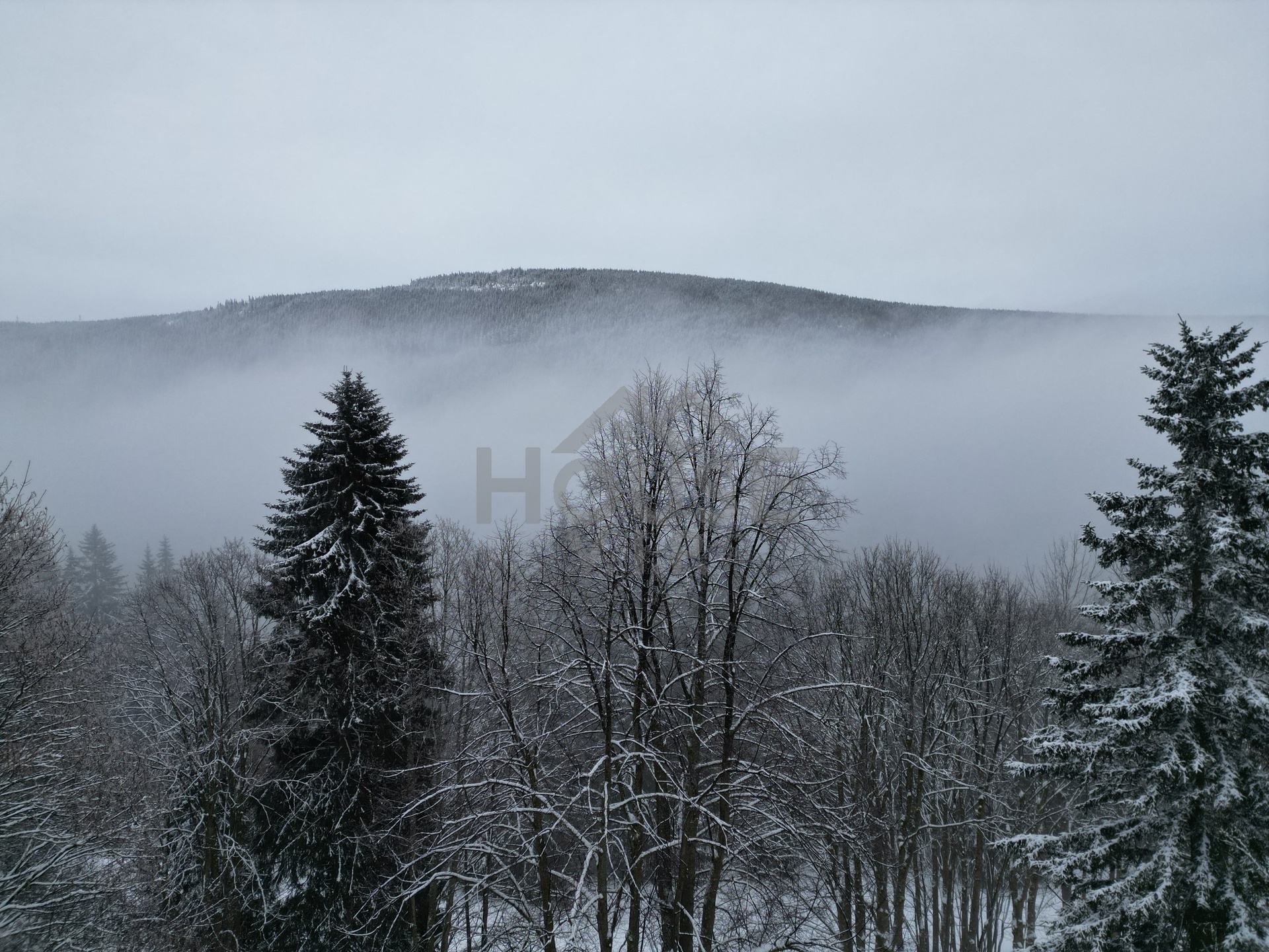 dji_fly_20260204_143714_595_1770296649517_photo