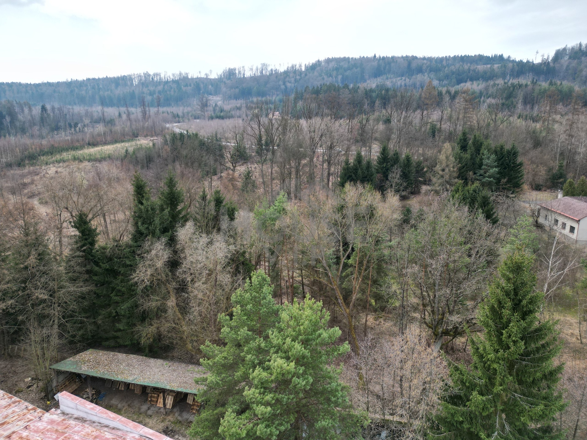 dji_fly_20260320_113512_684_1774017771531_photo