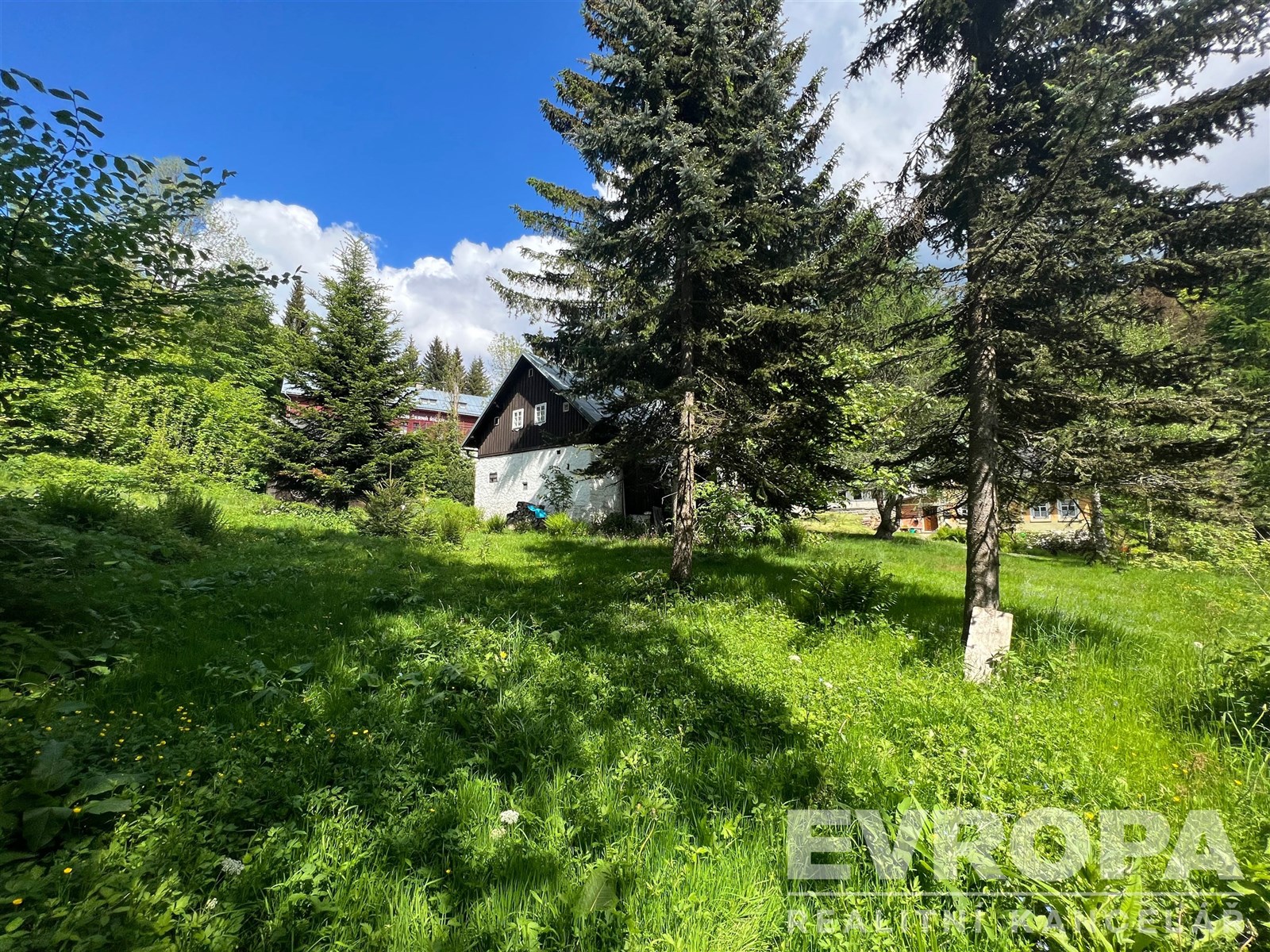 zahrada s pohled na lesy