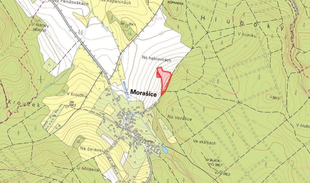 Prodej zemědělské půdy Morašice 318 977 Kč, foto 2