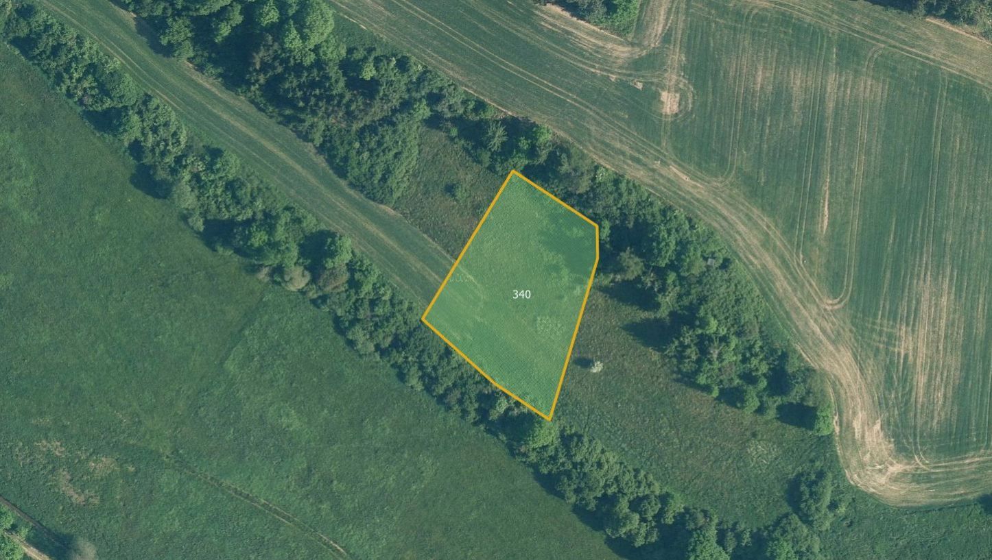 Prodej louky Mohelnice 460 350 Kč, foto 2