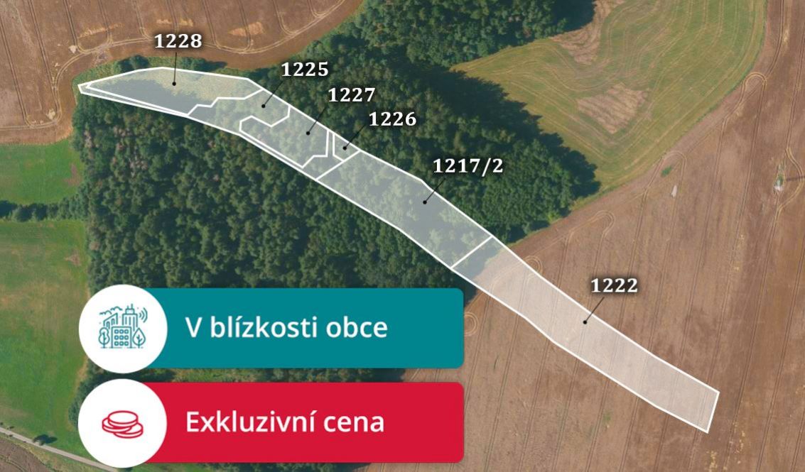 Prodej zemědělské půdy, 37 043 m² Příbraz (okres Jindřichův Hradec), obrázek 1