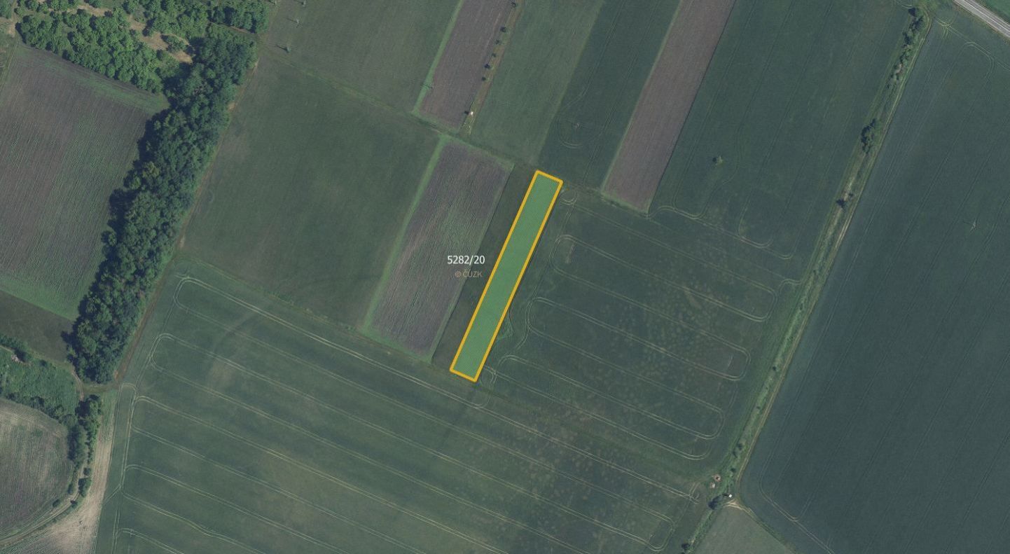 Prodej zemědělské půdy Novosedly 539 880 Kč, foto 2
