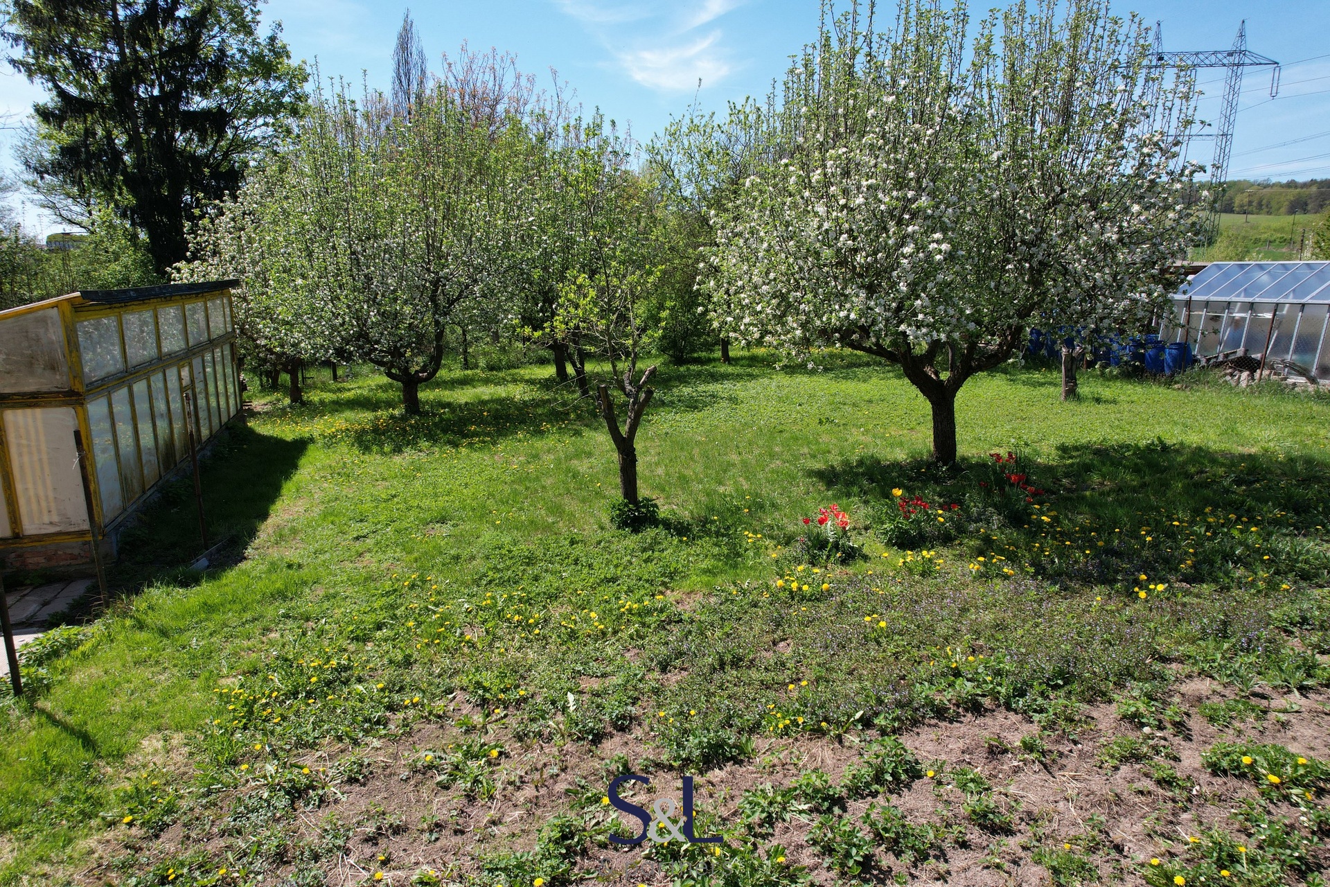 DJI_0194