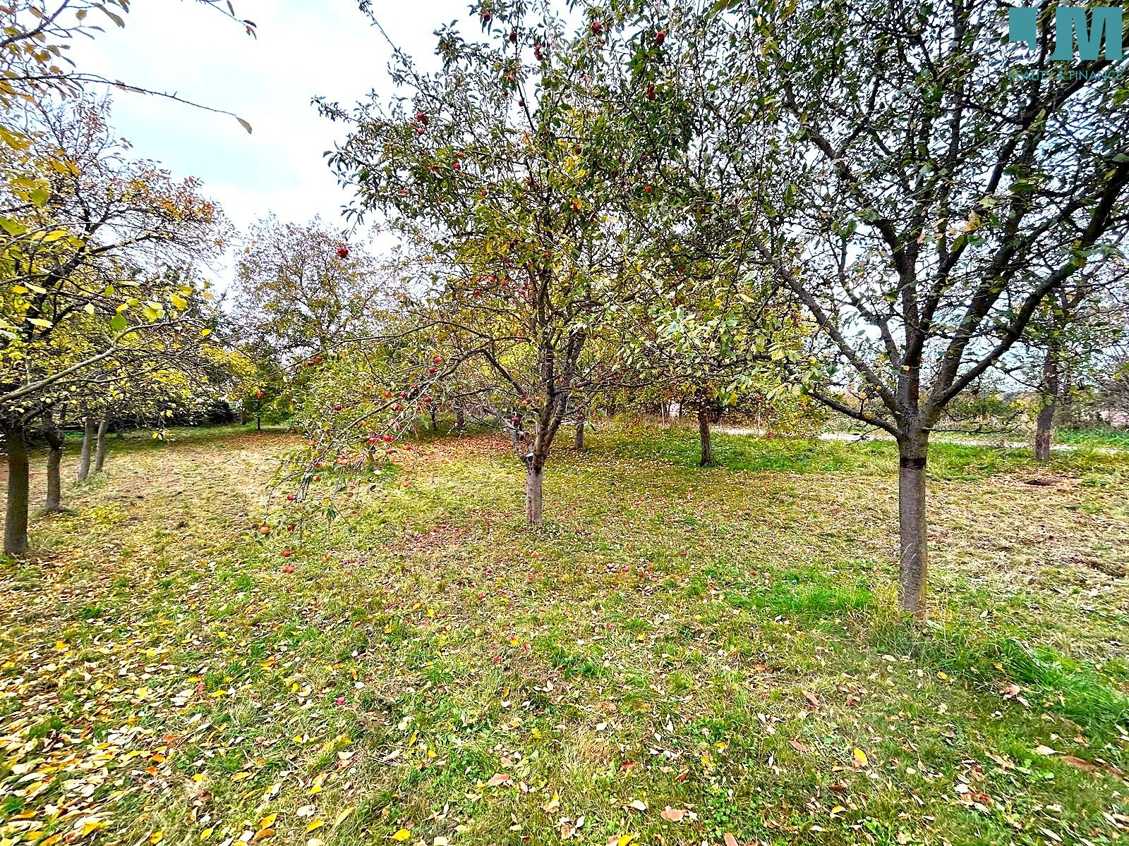 Obrázek WhatsApp, 2025-10-21 v 13.28.49_2a648686