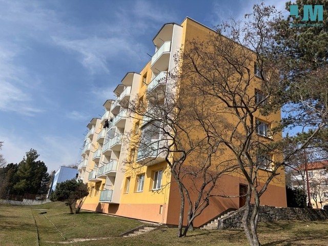 5_PHOTO-2026-03-11-08-43-39