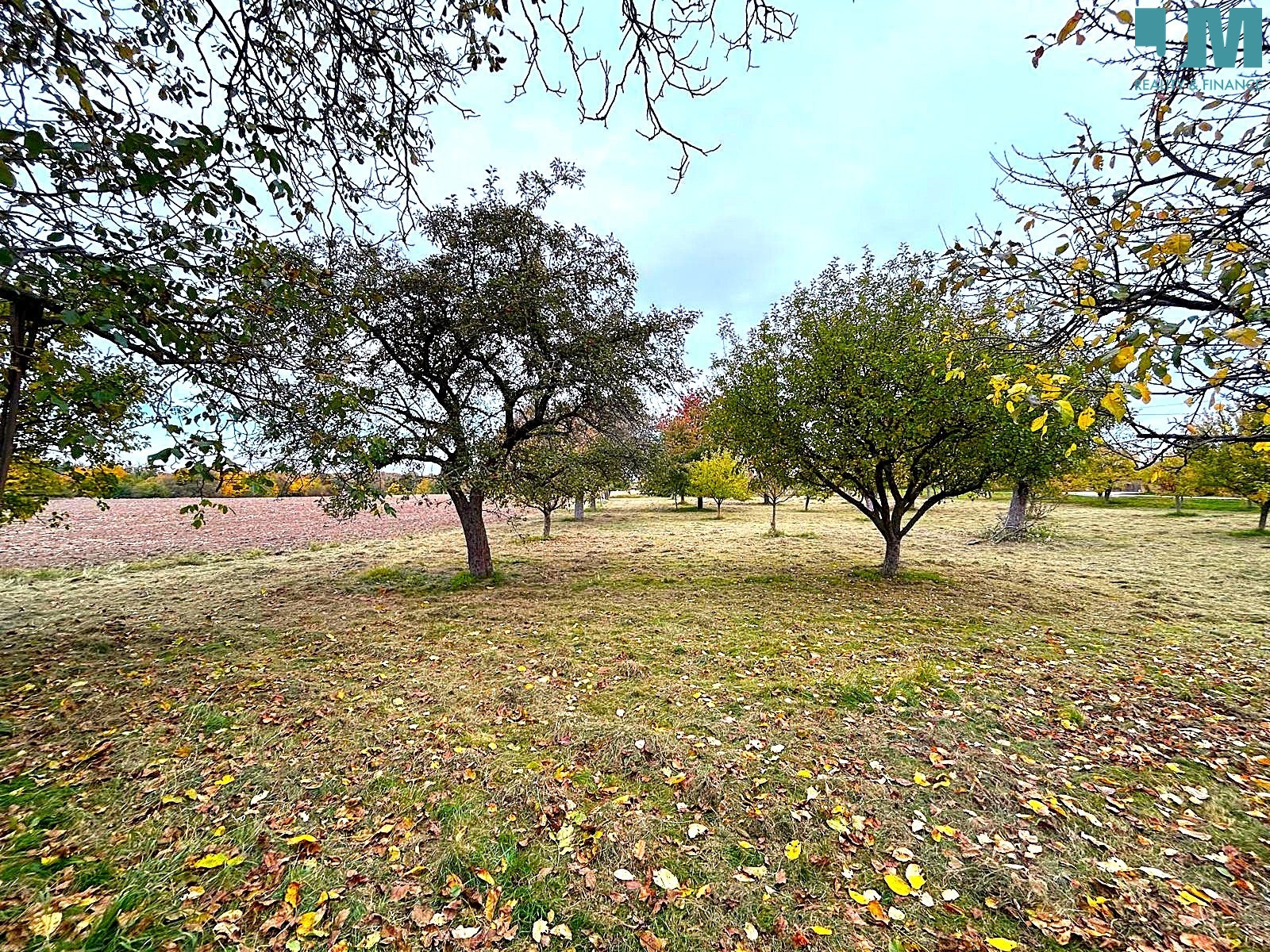 Obrázek WhatsApp, 2025-10-21 v 13.28.49_ec21b750