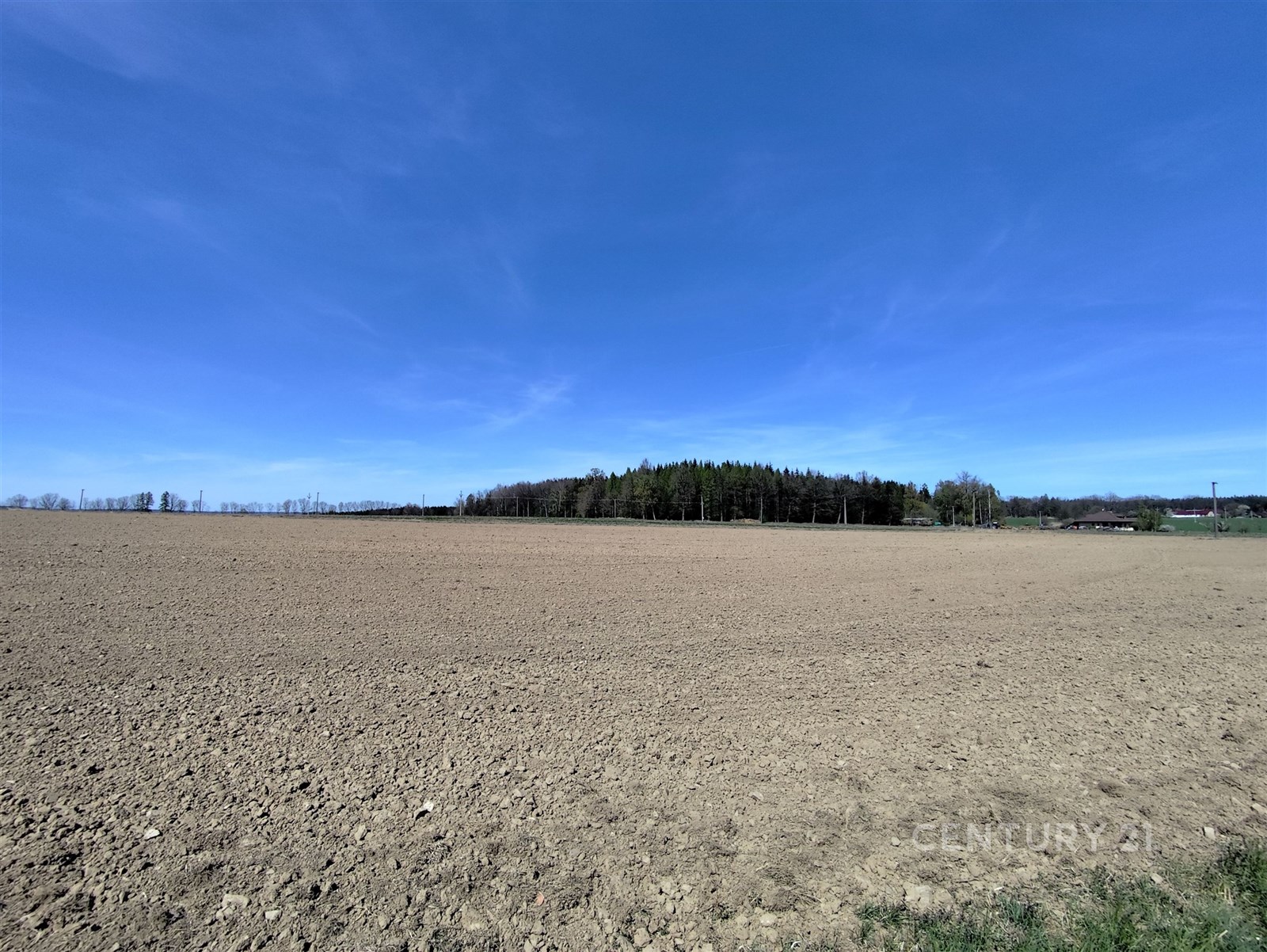 Prázdný zemědělský pozemek s rovinatým terénem, vhodný pro výstavbu nebo zemědělské využití, s výhledem na lesní oblast