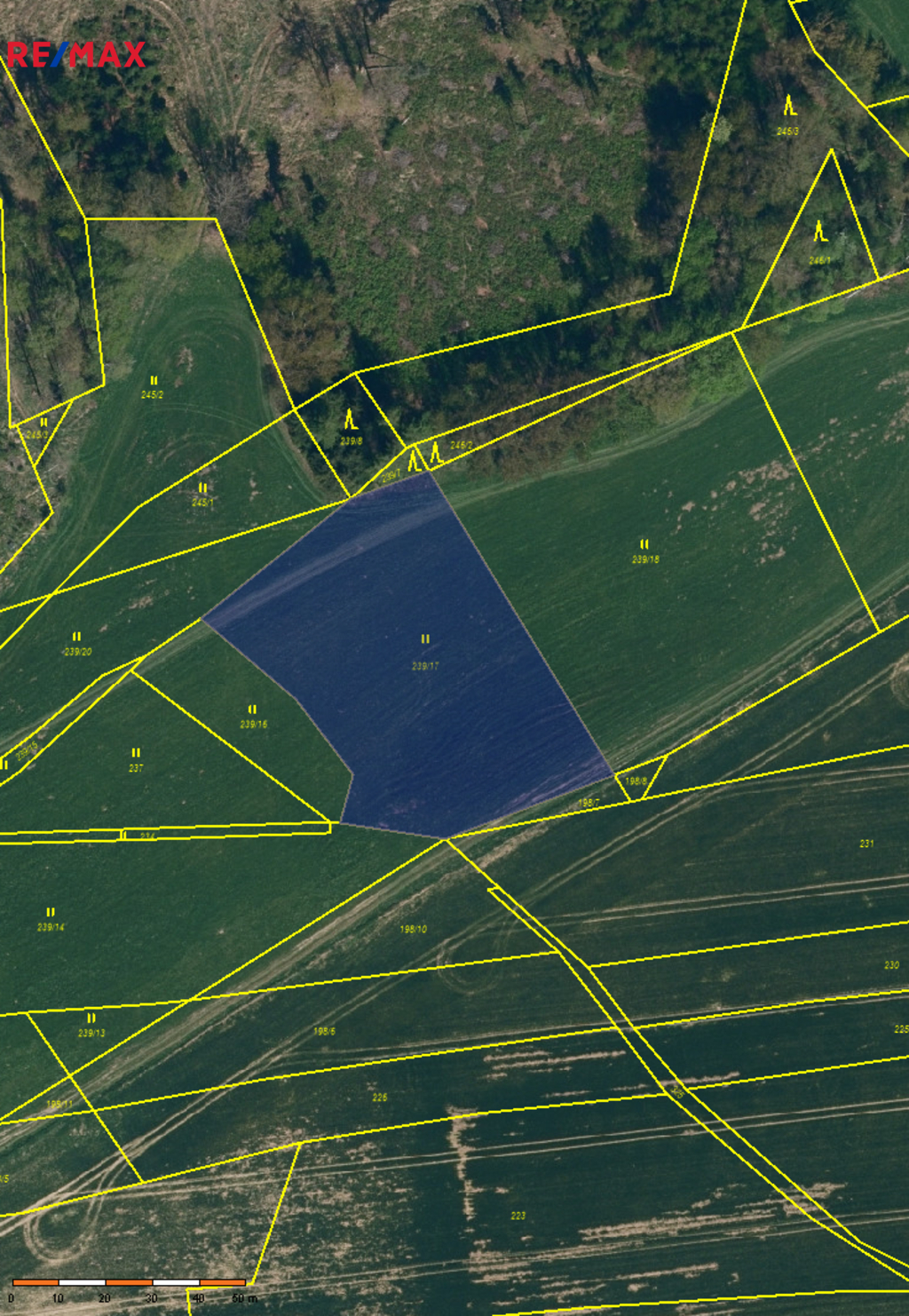 Pozemek parc. č. 239/17