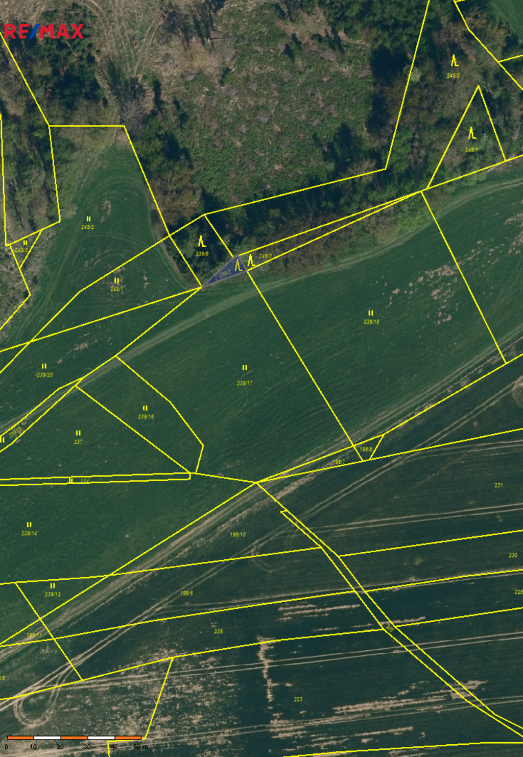 Pozemek parc. č. 239/7