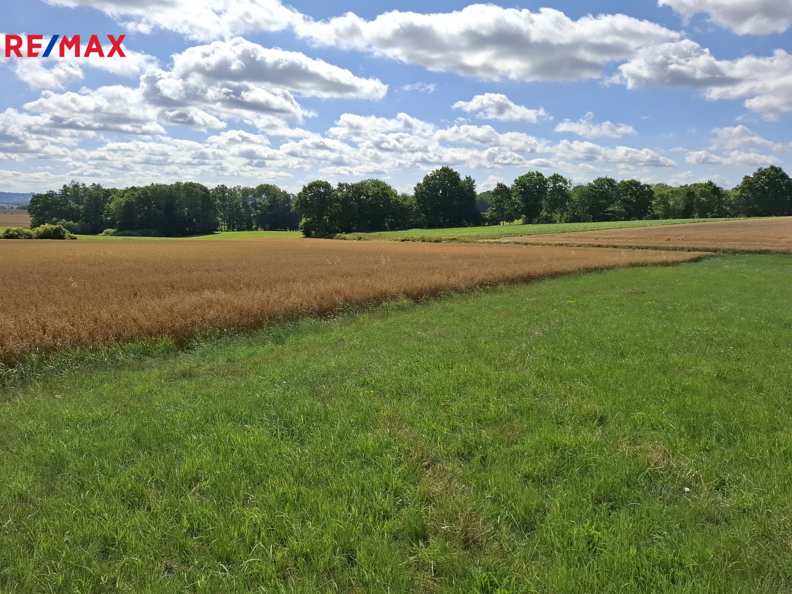 Pozemek parc. č. 65 a 66