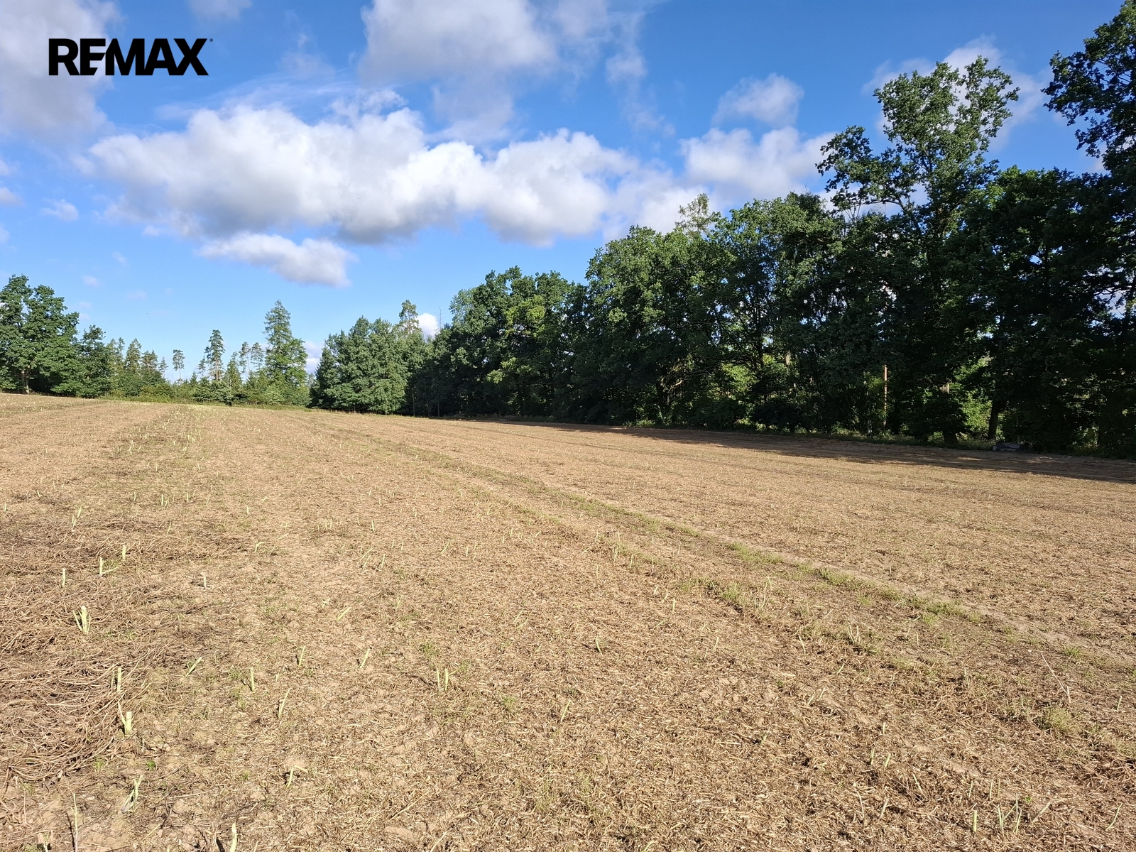 Pozemek parc. č. 33/1