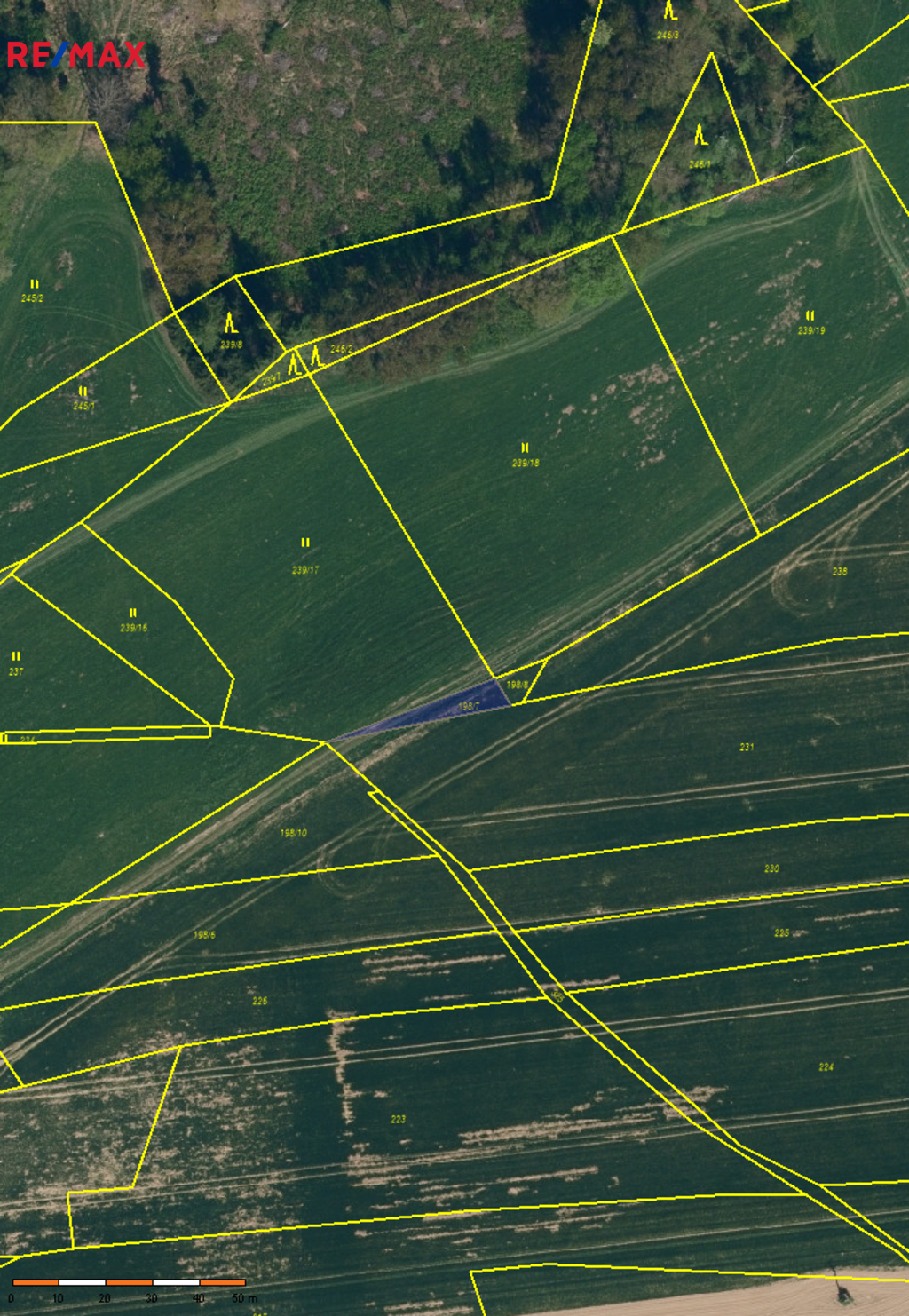 Pozemek parc. č. 198/7