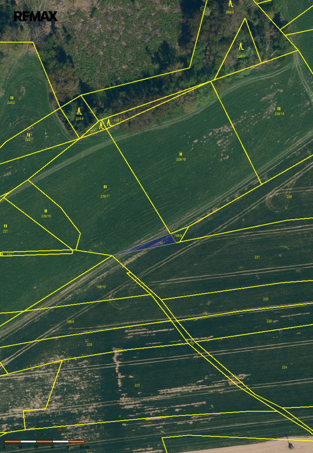 Pozemek parc. č. 198/7