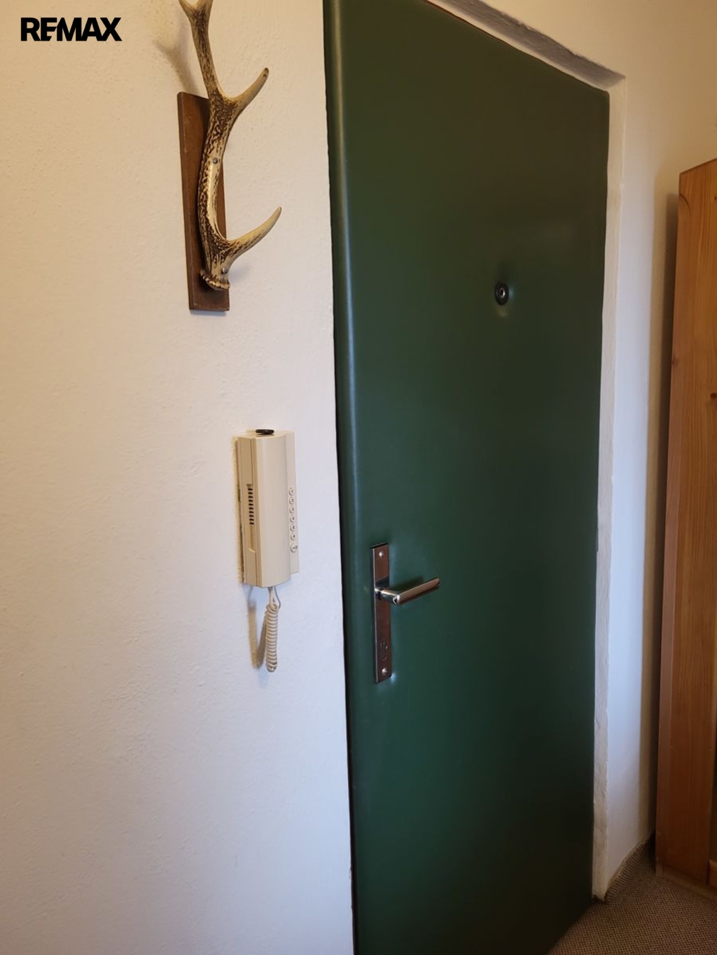 Vstupní dveře do bytu