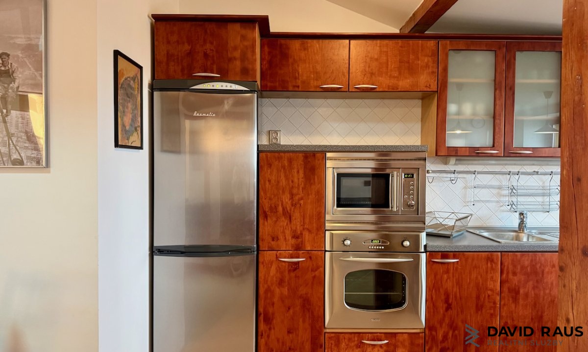 pronajem-zarizeneho-podkrovniho-bytu-1-kk-61m-ul-gorkeho-brno-veveri_6231