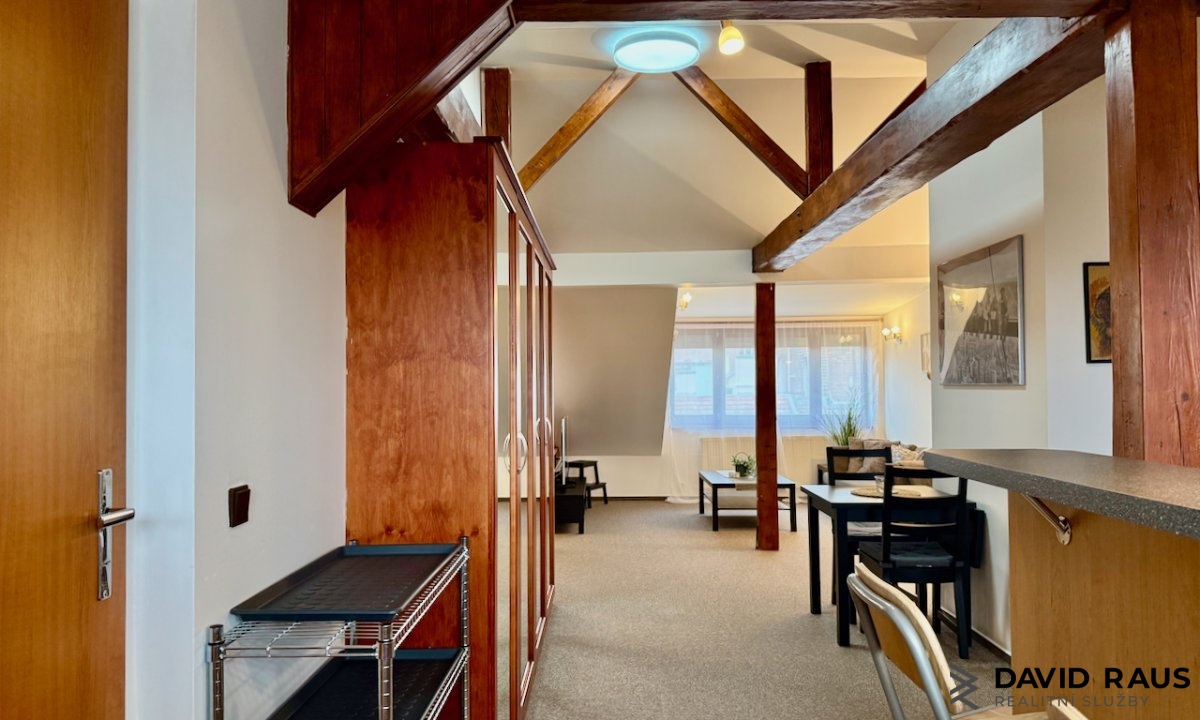 pronajem-zarizeneho-podkrovniho-bytu-1-kk-61m-ul-g