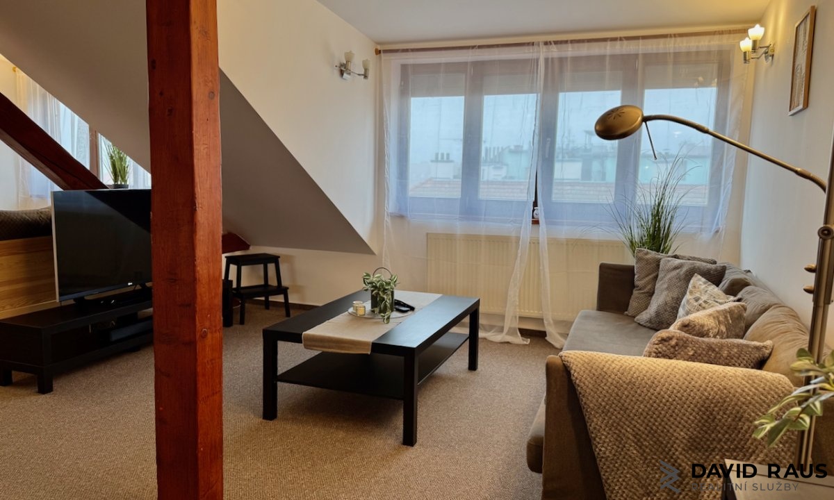 pronajem-zarizeneho-podkrovniho-bytu-1-kk-61m-ul-gorkeho-brno-veveri_6212