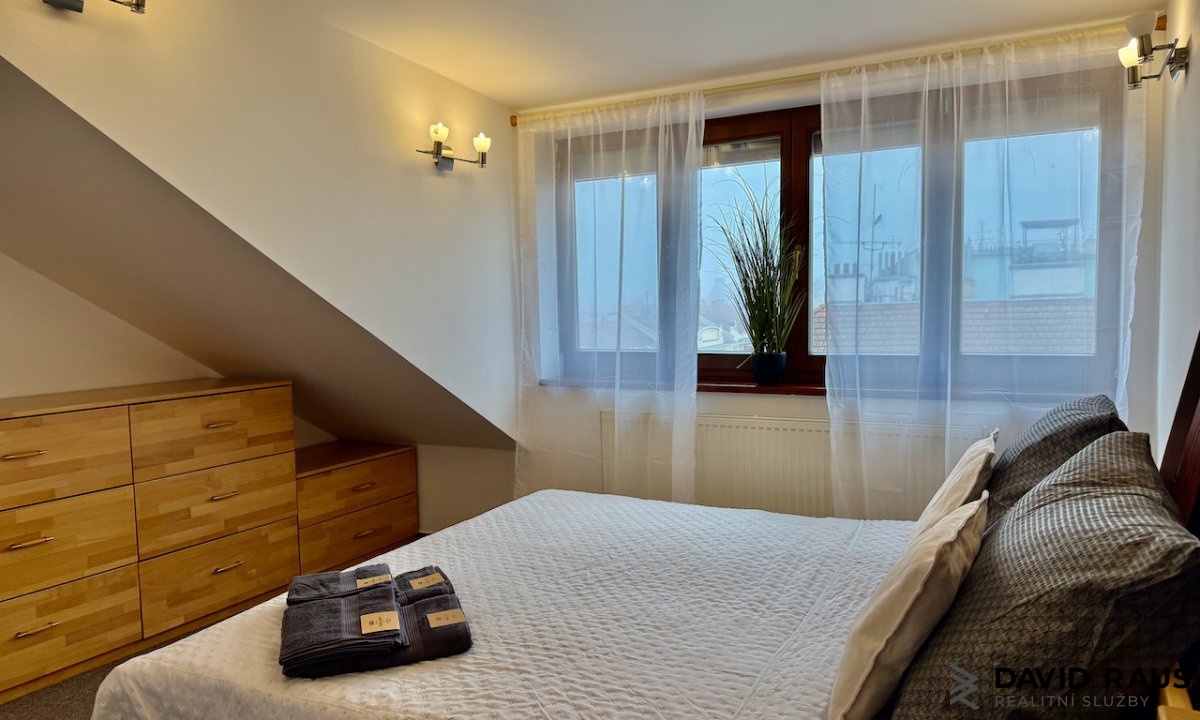 pronajem-zarizeneho-podkrovniho-bytu-1-kk-61m-ul-gorkeho-brno-veveri_6214