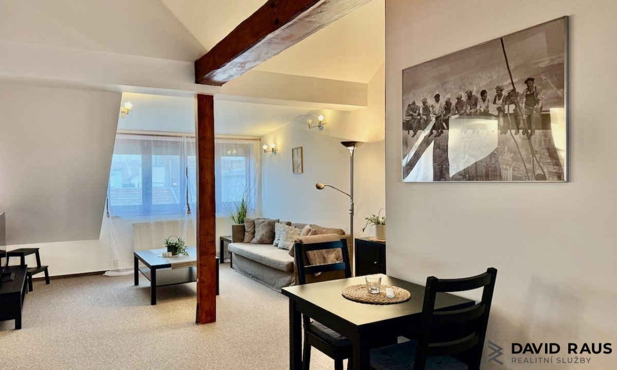 pronajem-zarizeneho-podkrovniho-bytu-1-kk-61m-ul-g