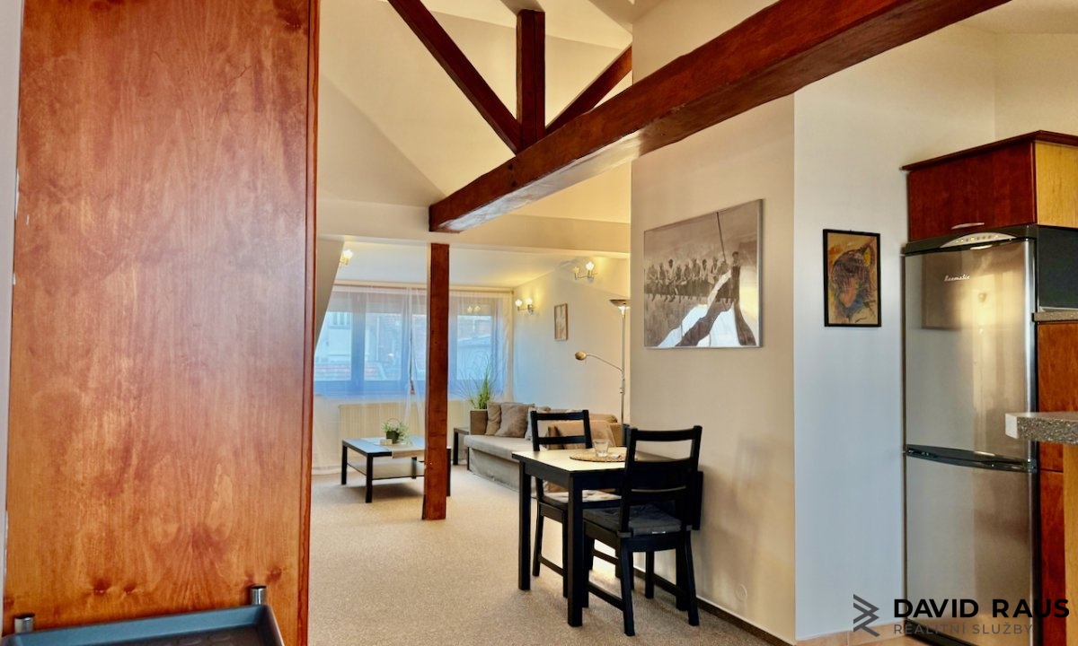 pronajem-zarizeneho-podkrovniho-bytu-1-kk-61m-ul-gorkeho-brno-veveri_6206