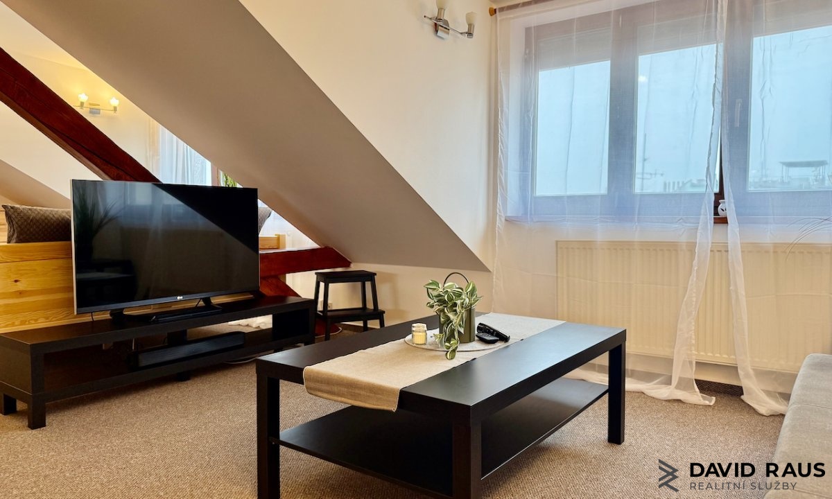 pronajem-zarizeneho-podkrovniho-bytu-1-kk-61m-ul-gorkeho-brno-veveri_6221