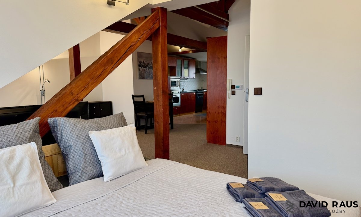 pronajem-zarizeneho-podkrovniho-bytu-1-kk-61m-ul-gorkeho-brno-veveri_6216 (1)