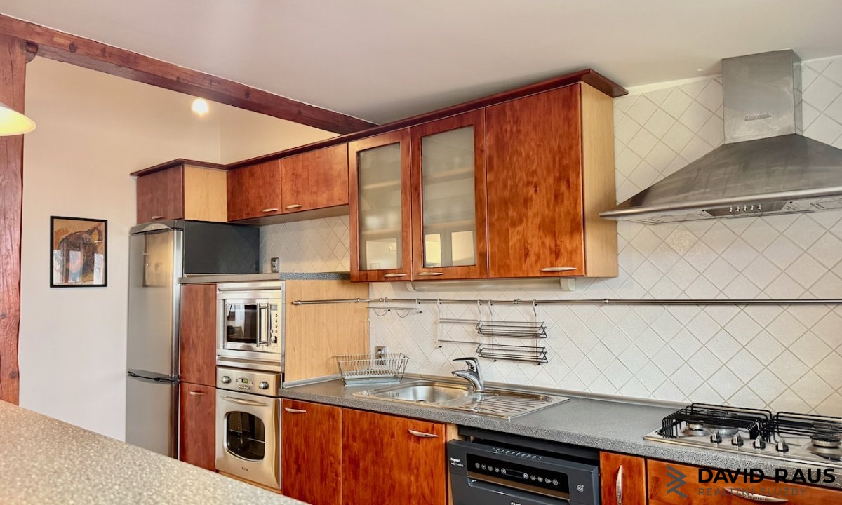 pronajem-zarizeneho-podkrovniho-bytu-1-kk-61m-ul-gorkeho-brno-veveri_6220