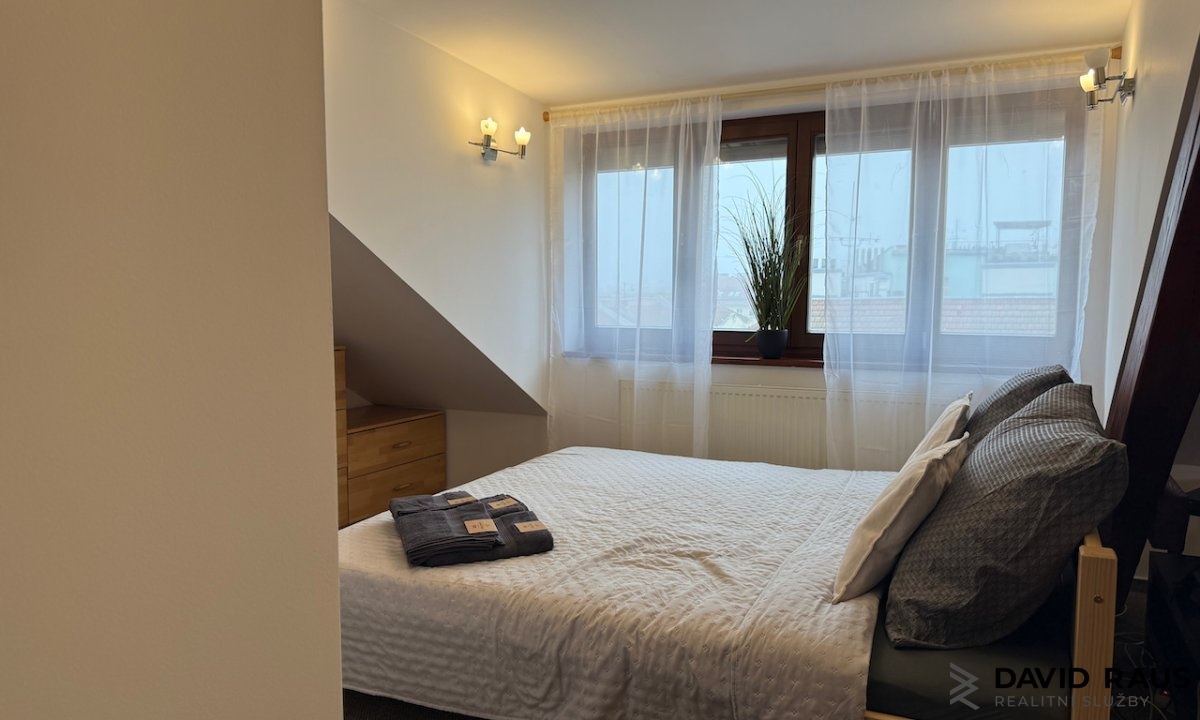 pronajem-zarizeneho-podkrovniho-bytu-1-kk-61m-ul-gorkeho-brno-veveri_6226