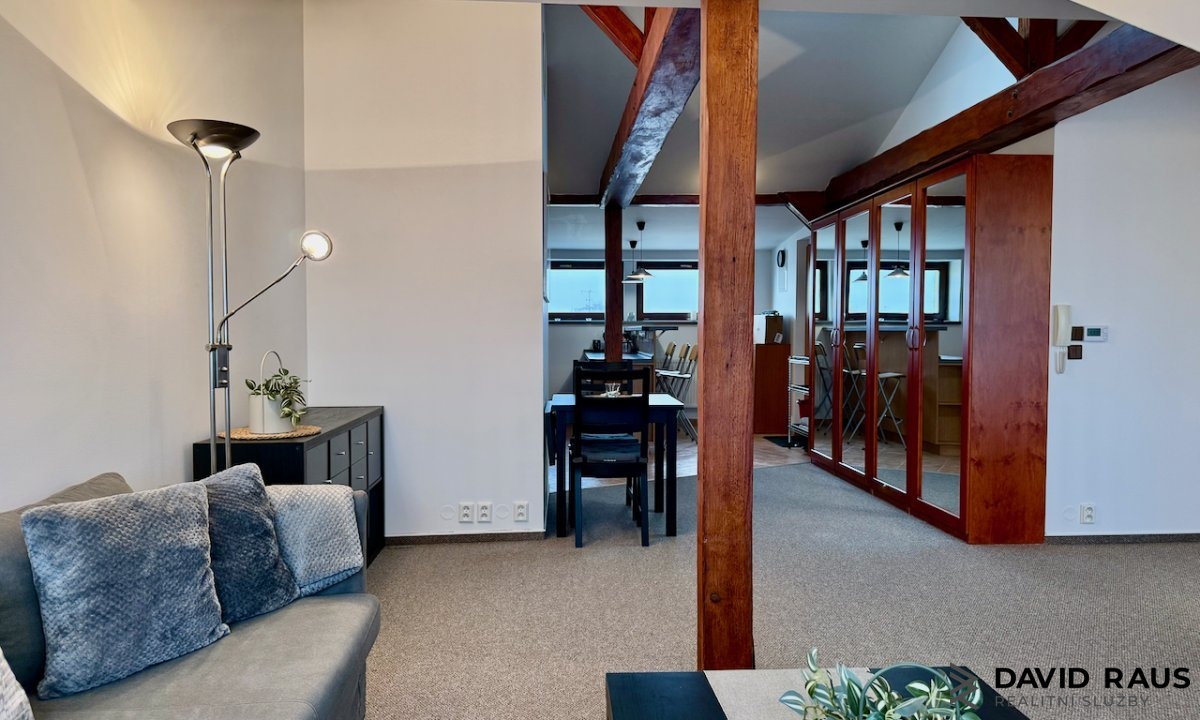 pronajem-zarizeneho-podkrovniho-bytu-1-kk-61m-ul-gorkeho-brno-veveri_6234