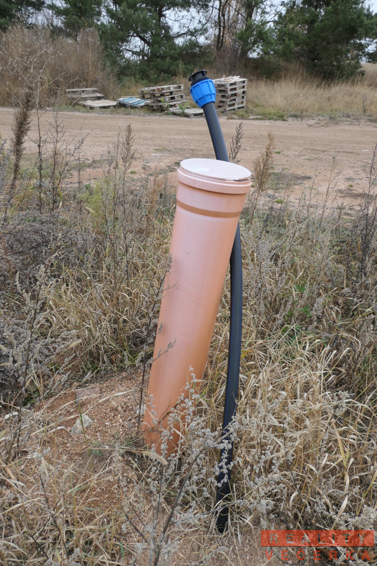 P1000356