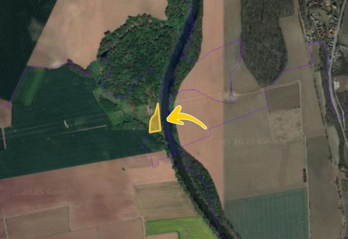 Prodej lesa Brňany, foto 2