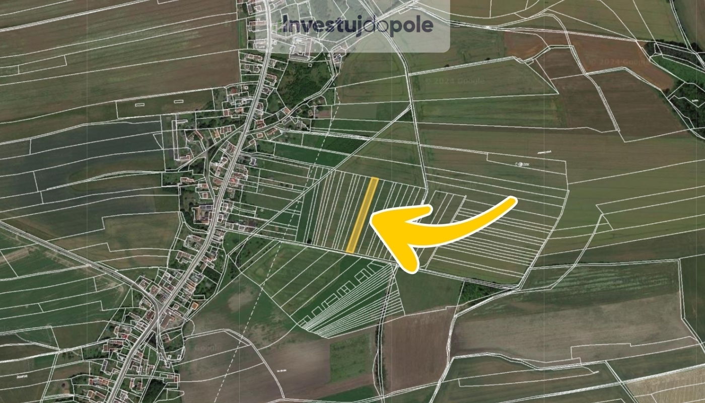 Bez názvu (960 x 800 px) - 2024-08-22T122707.625.j