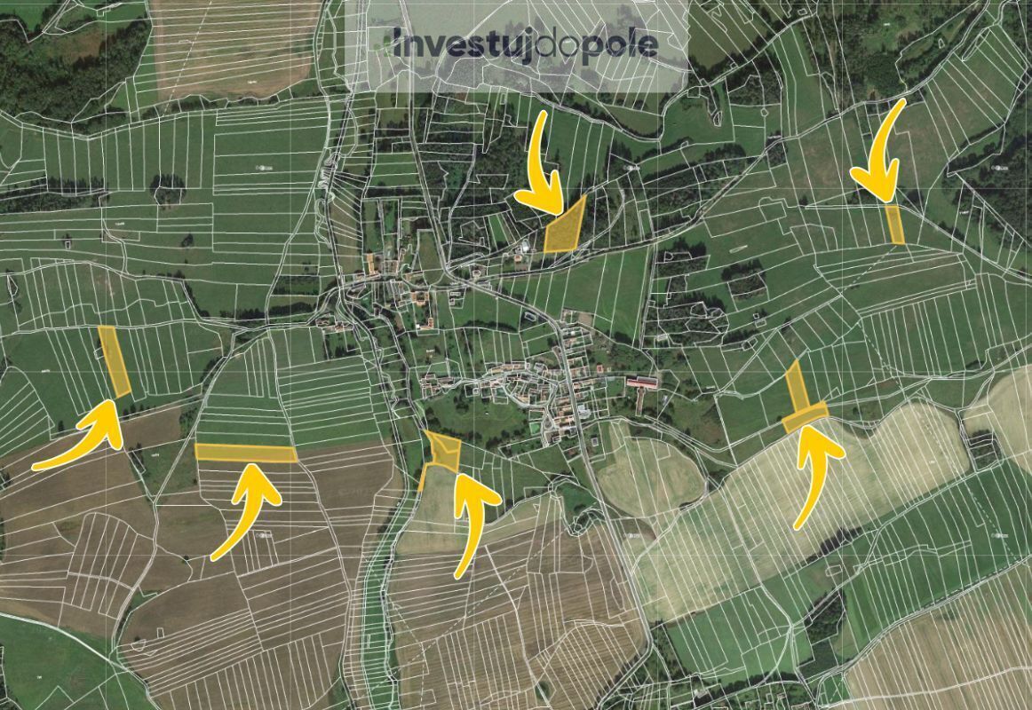 Bez názvu (960 x 800 px) (1162 x 800 px) - 2025-05-02T080825.467.jpg