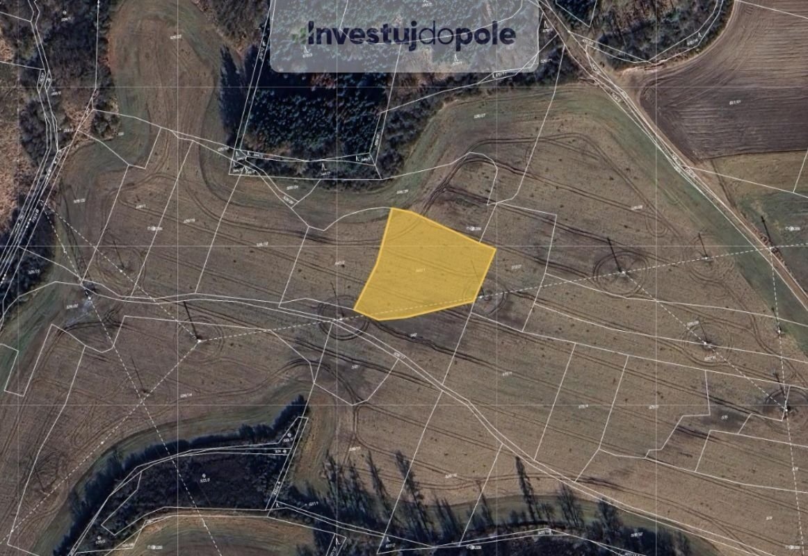 Prodej zemědělské půdy Blovice 365 000 Kč, foto 2